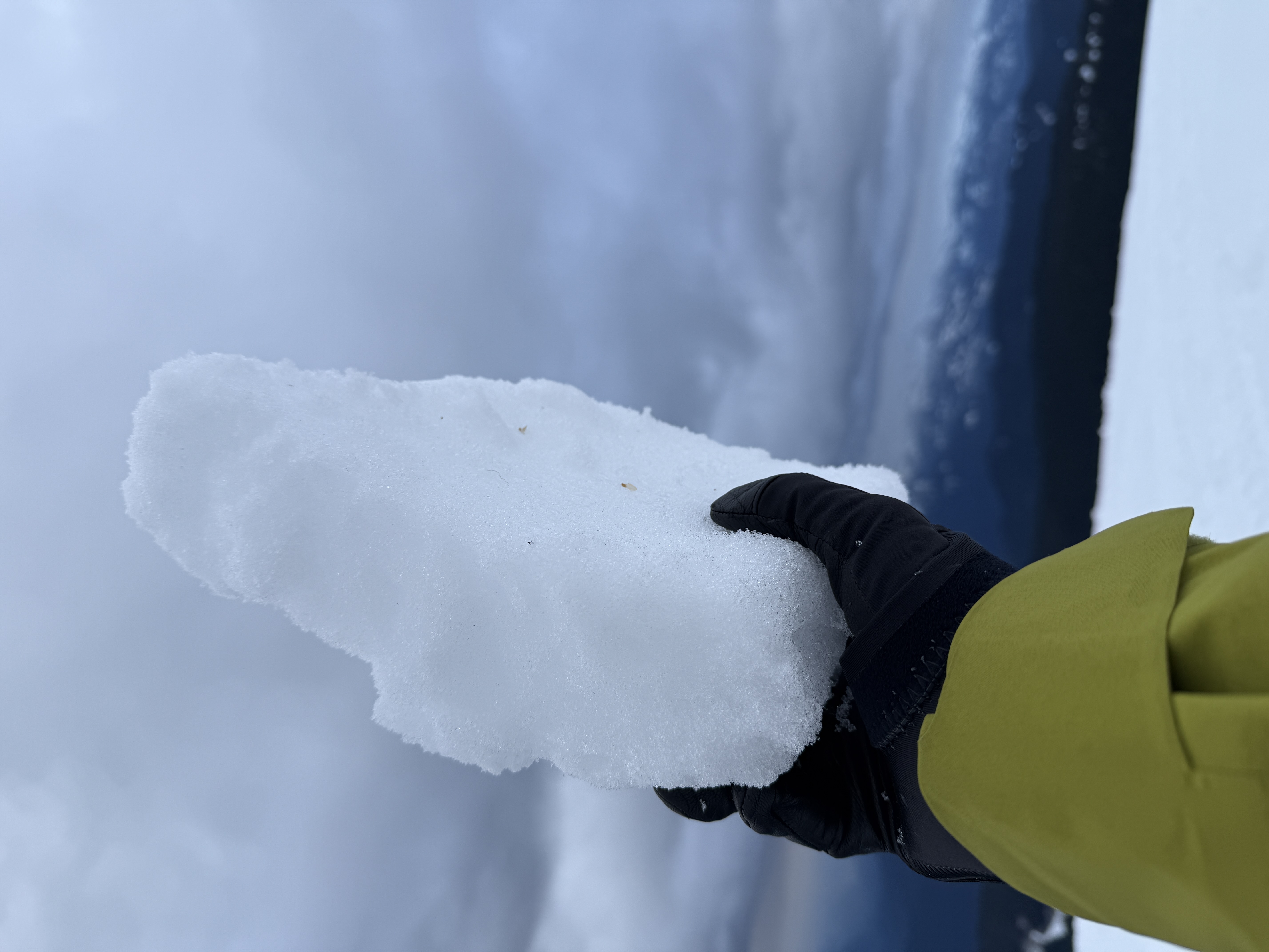 Observation photo