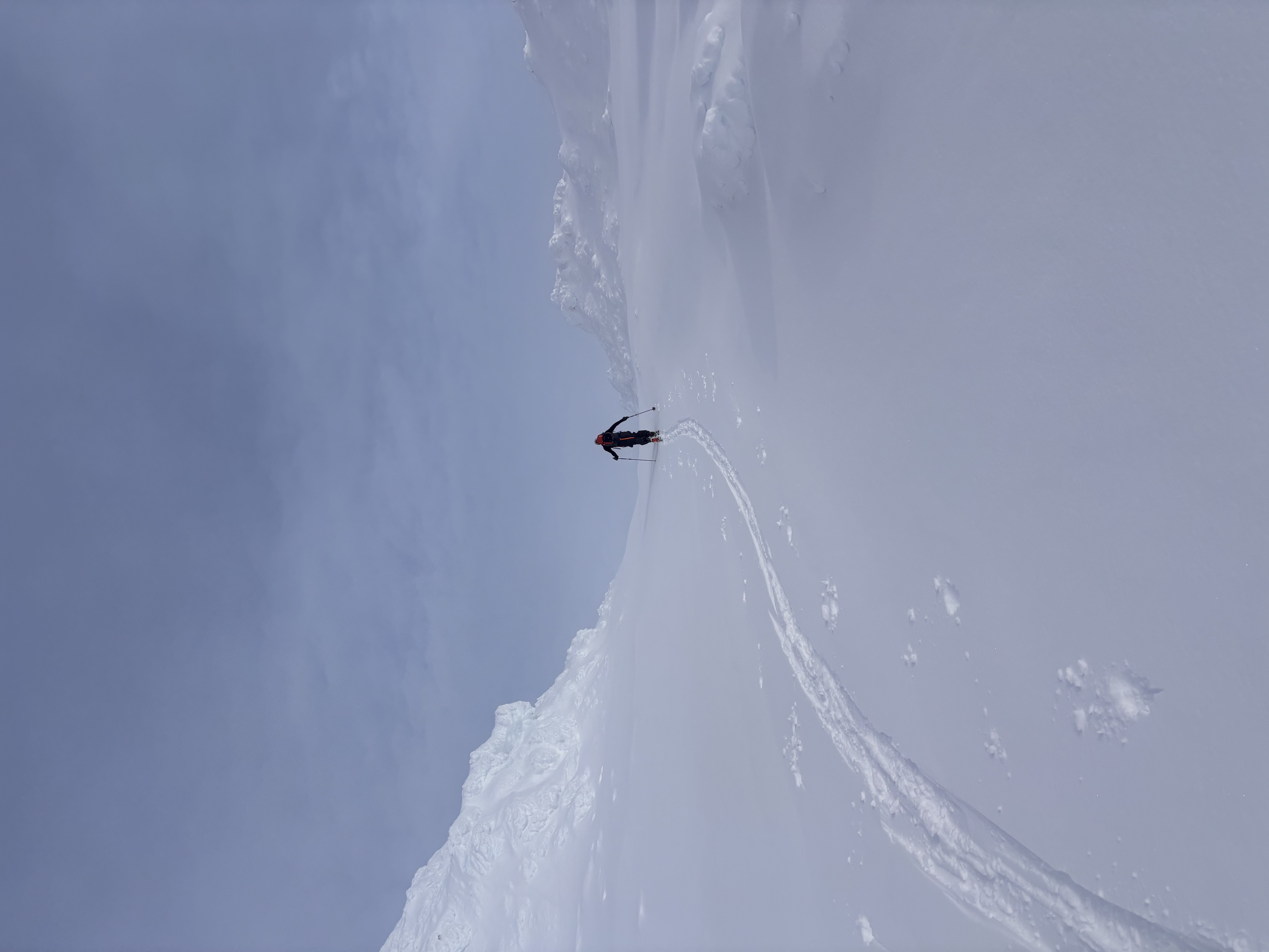 Observation photo