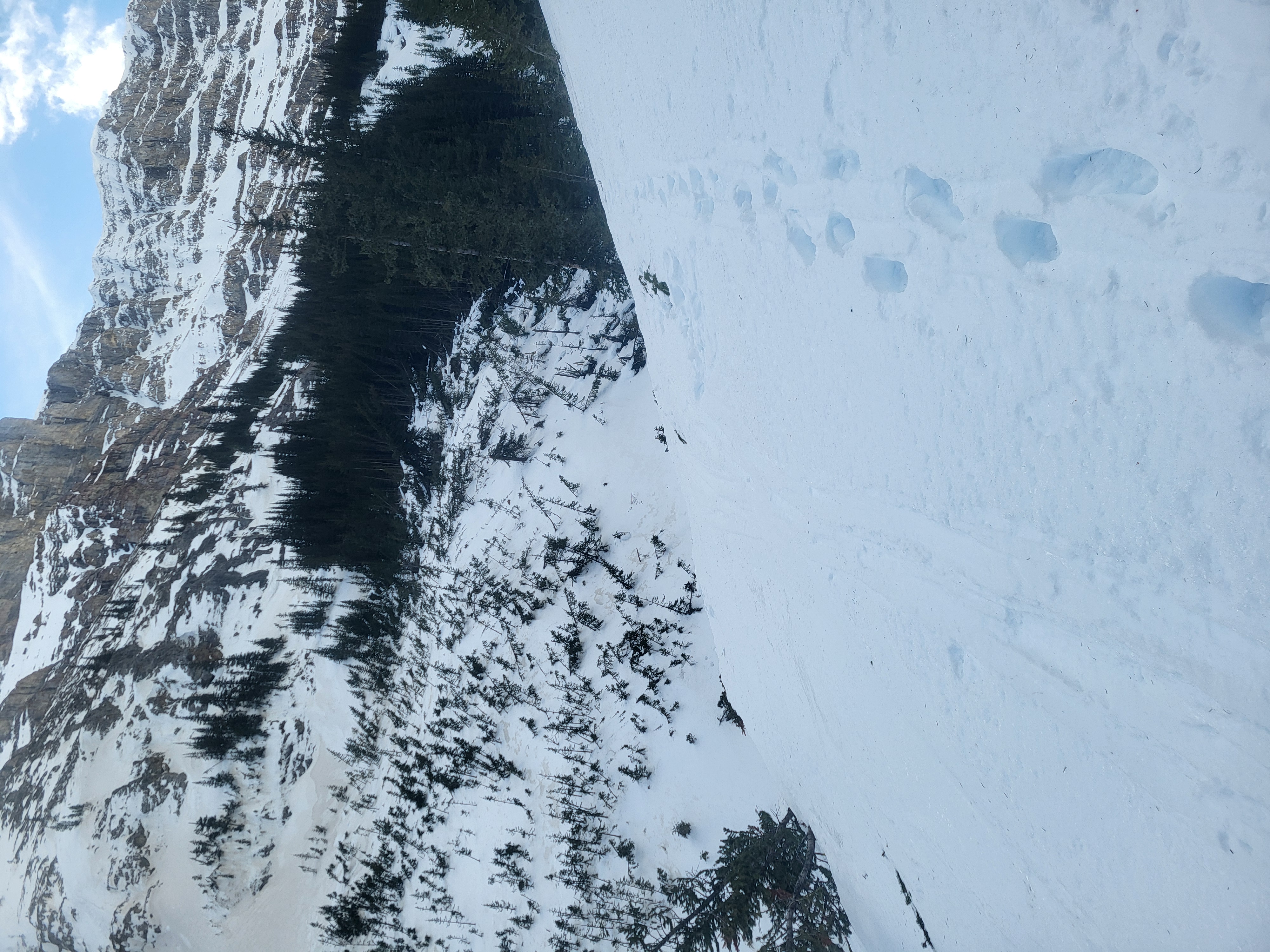 Observation photo