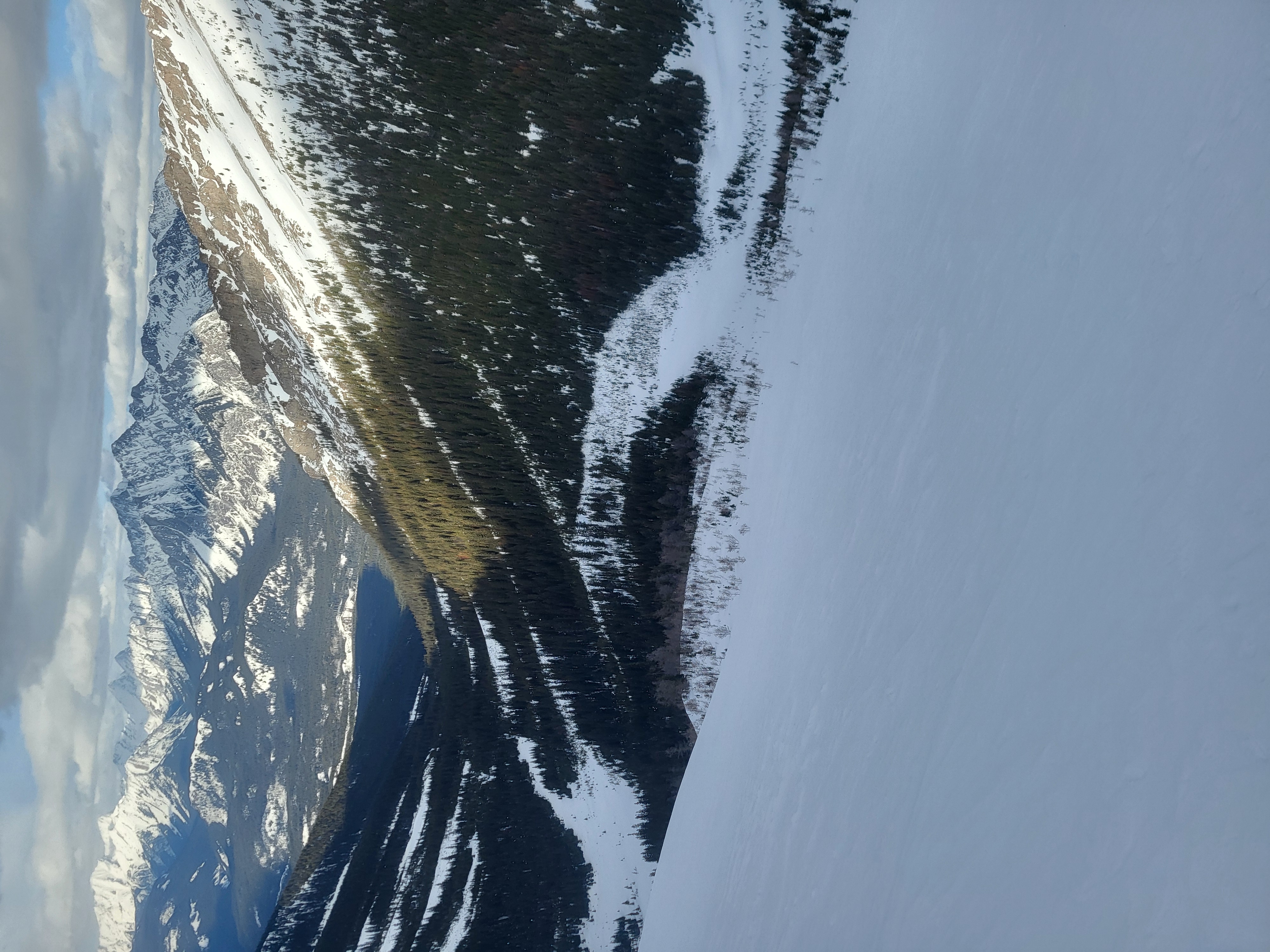 Observation photo