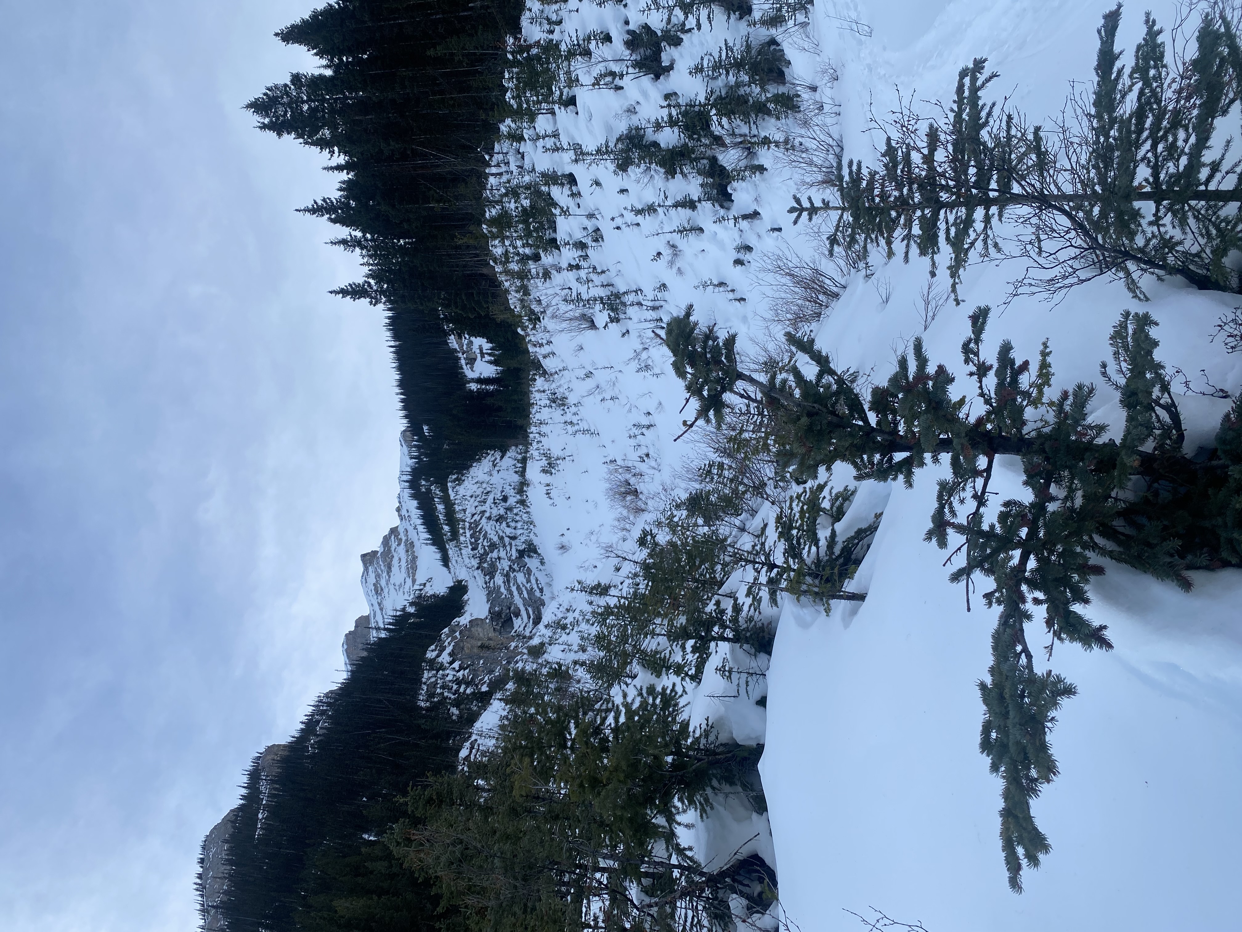 Observation photo