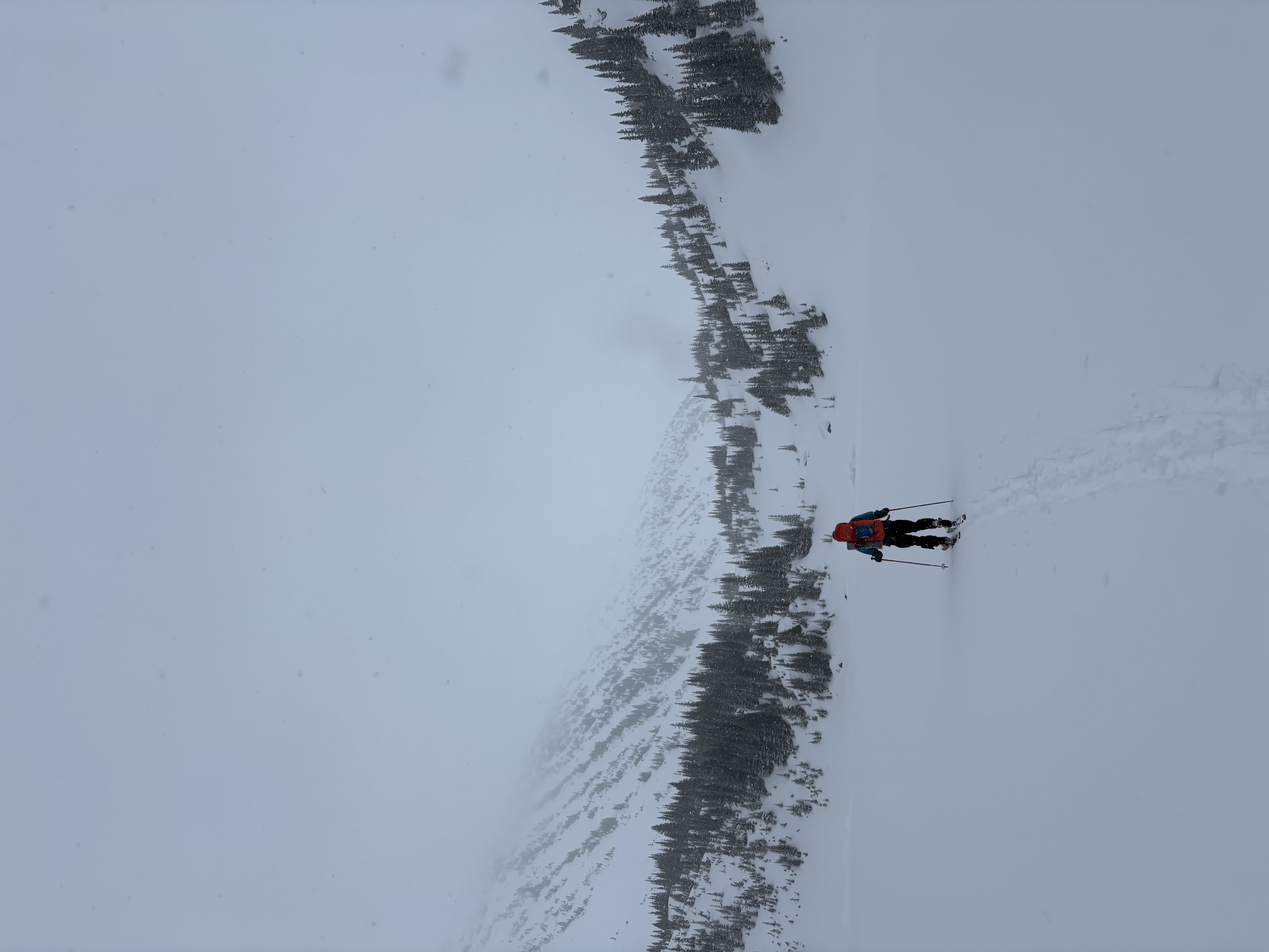 Observation photo