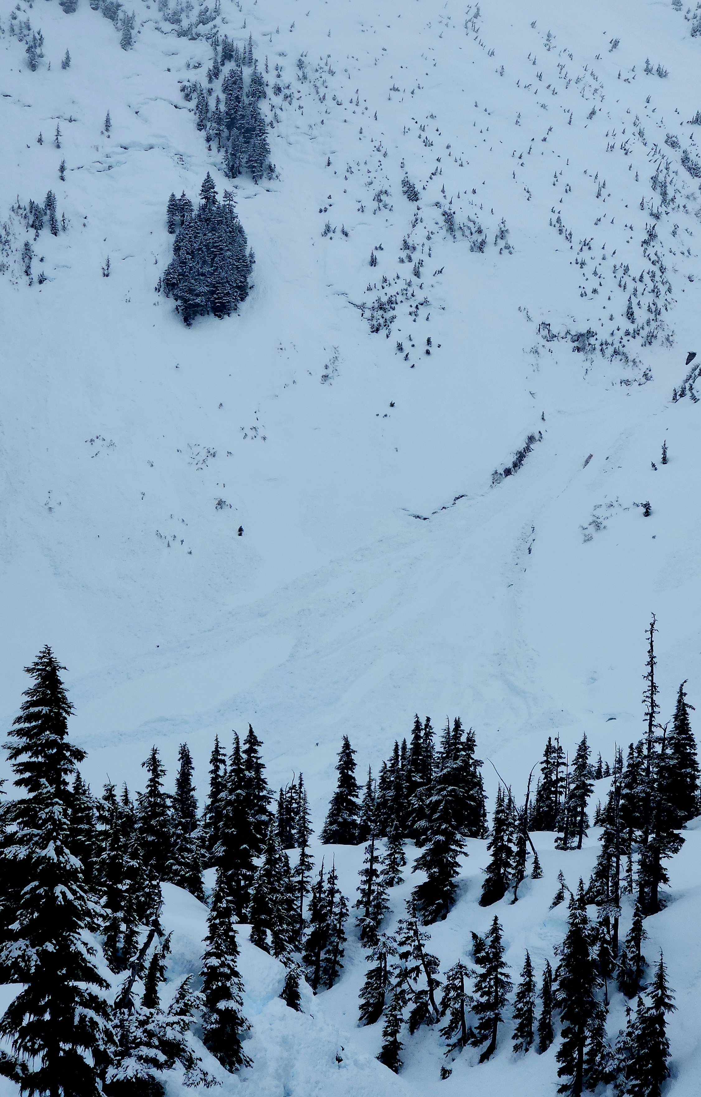 Observation photo