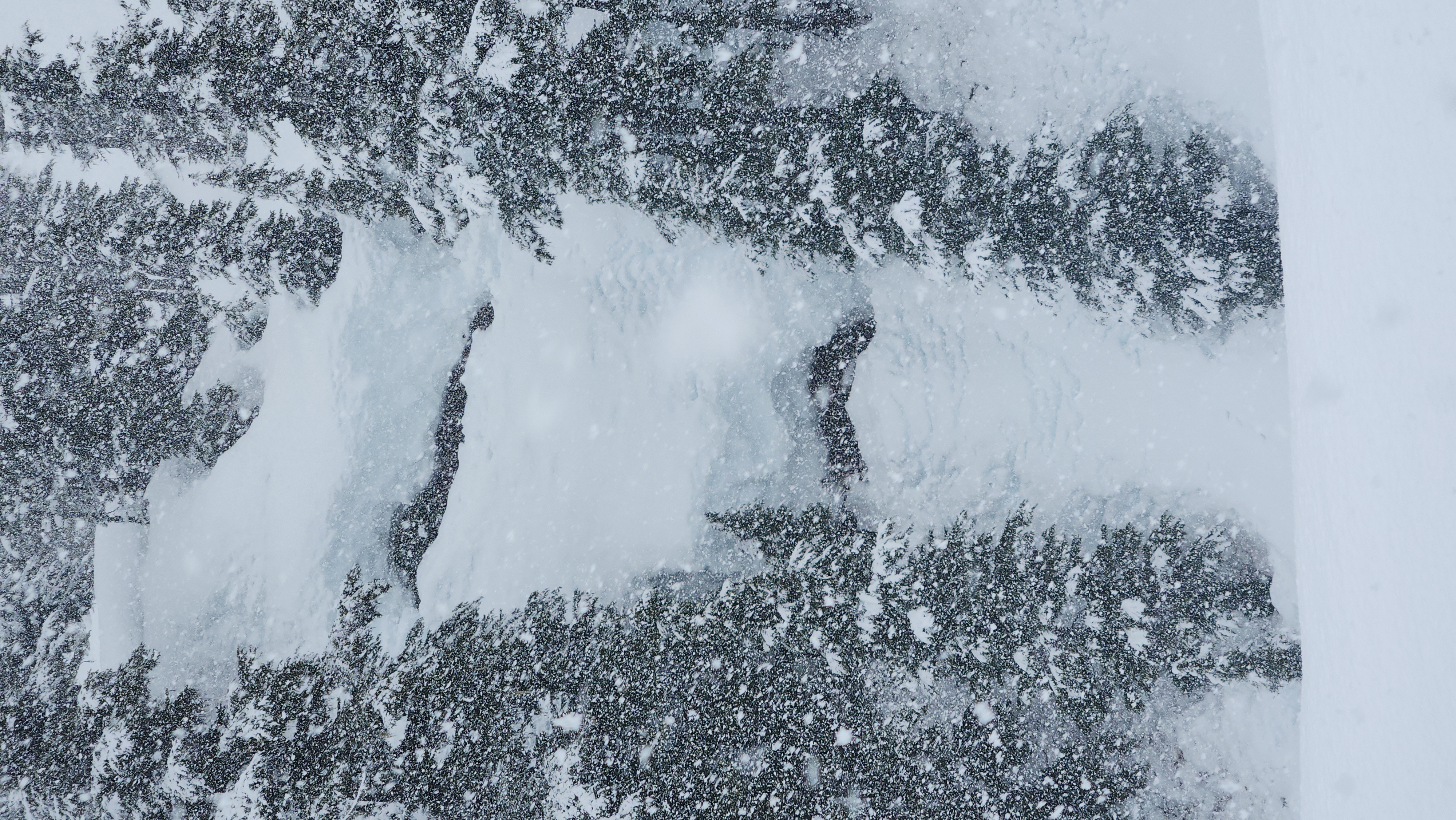 Observation photo
