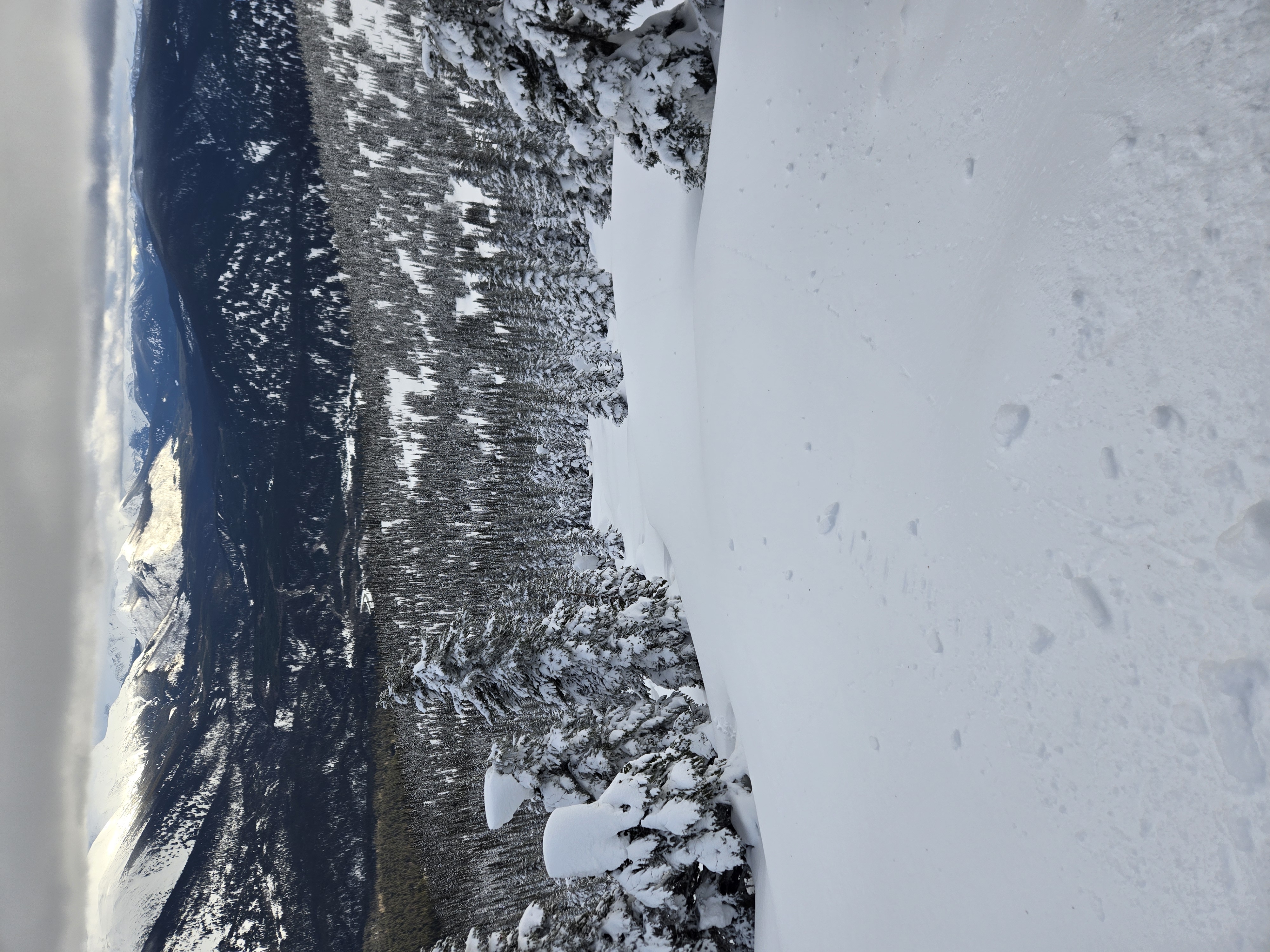Observation photo