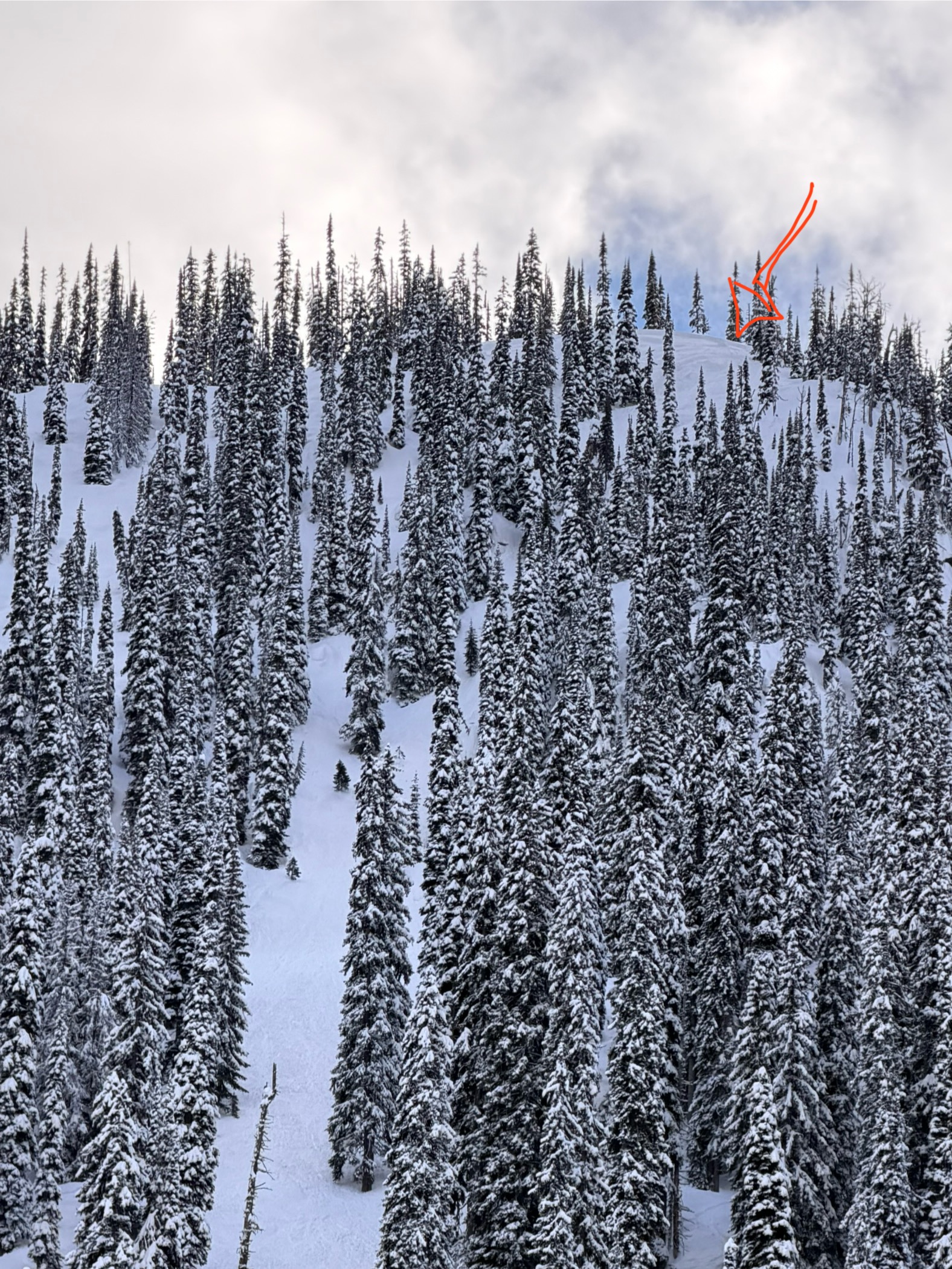Observation photo