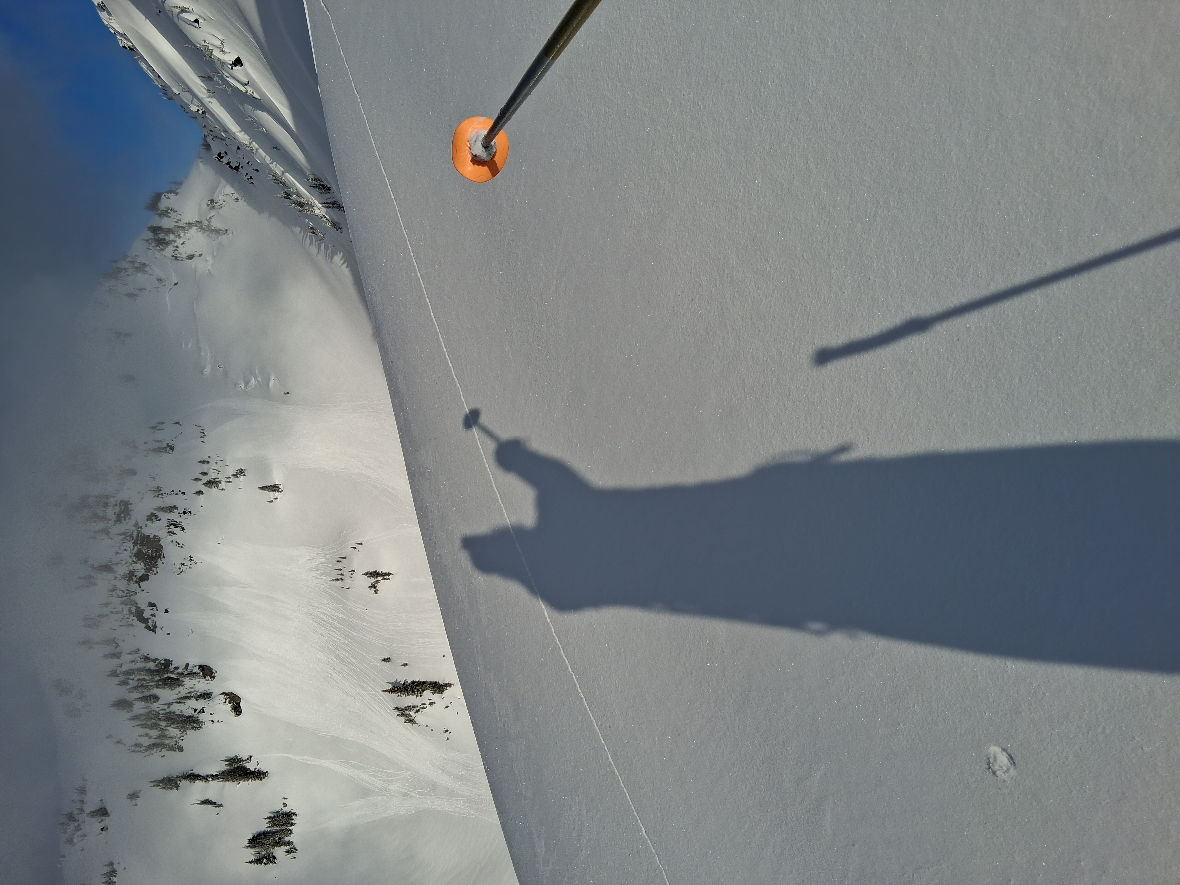 Observation photo