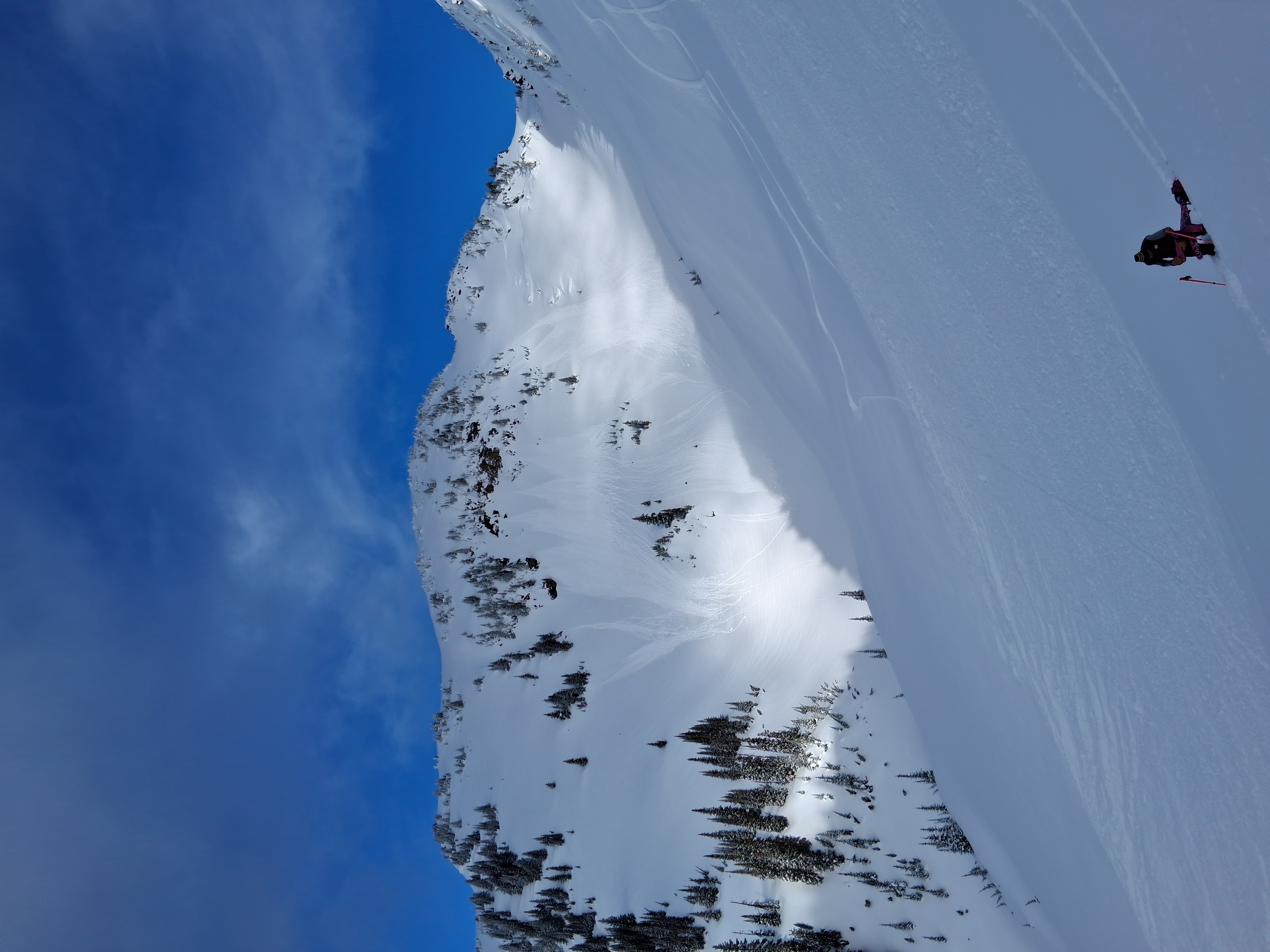 Observation photo