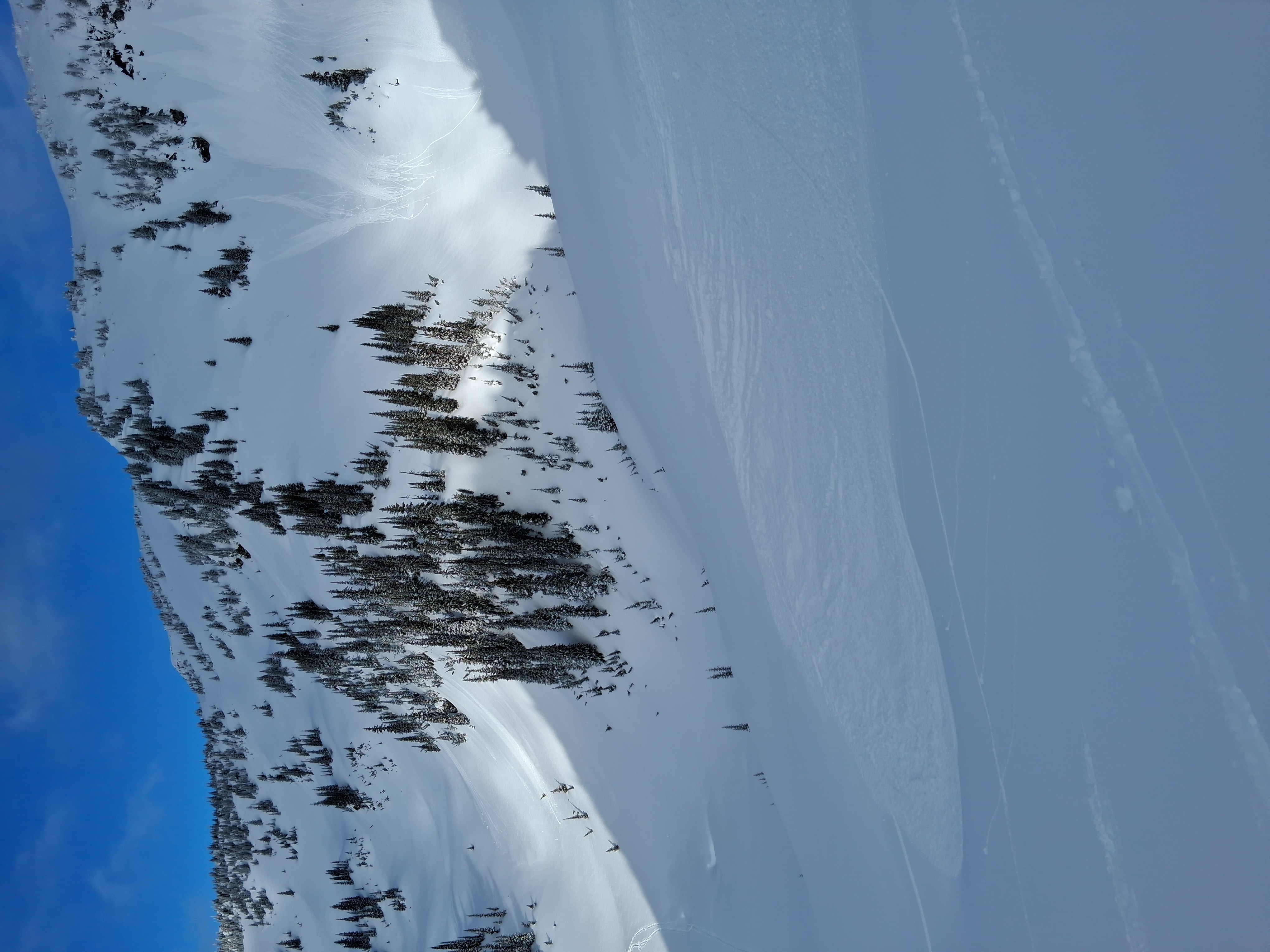 Observation photo