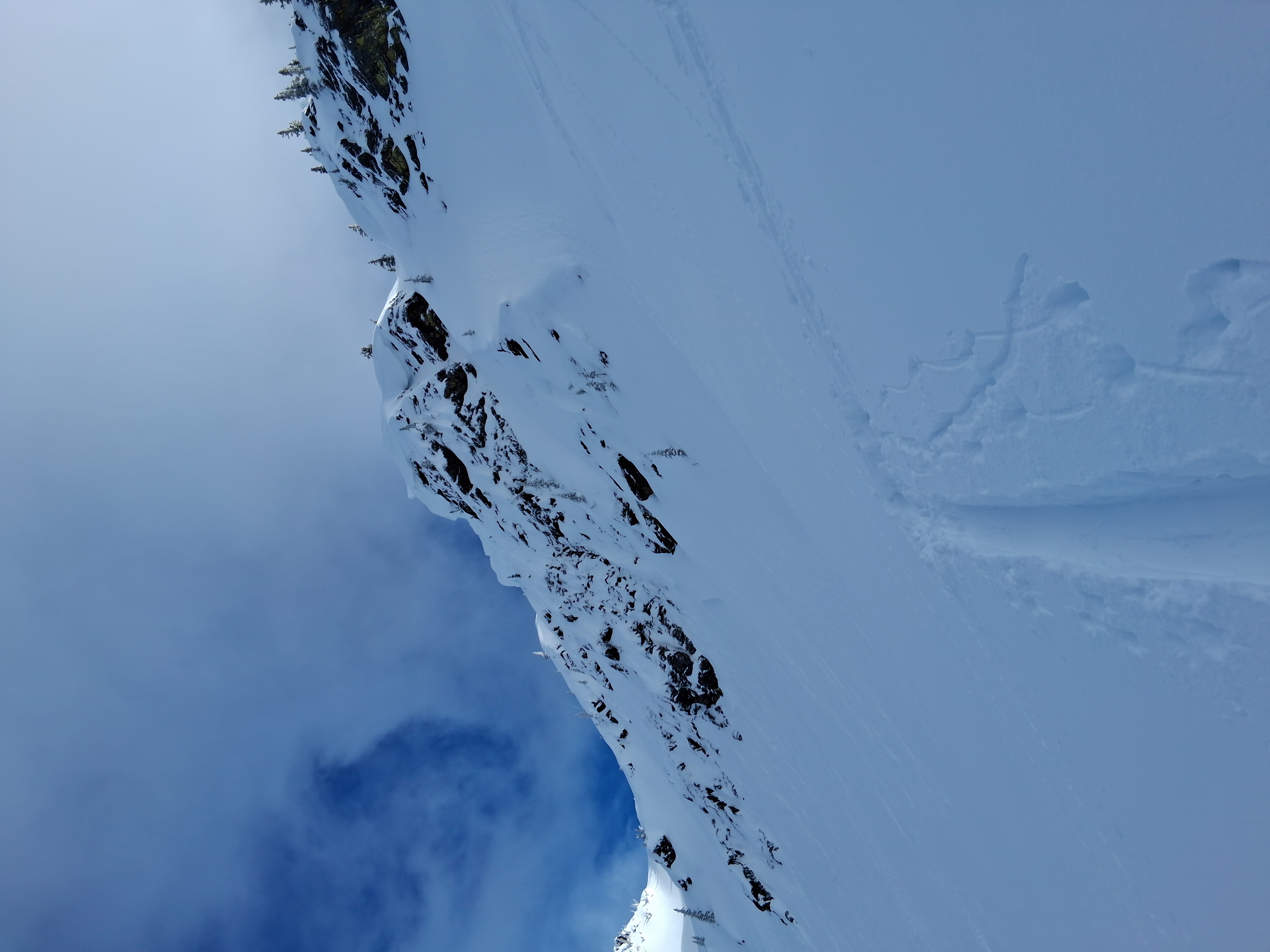 Observation photo
