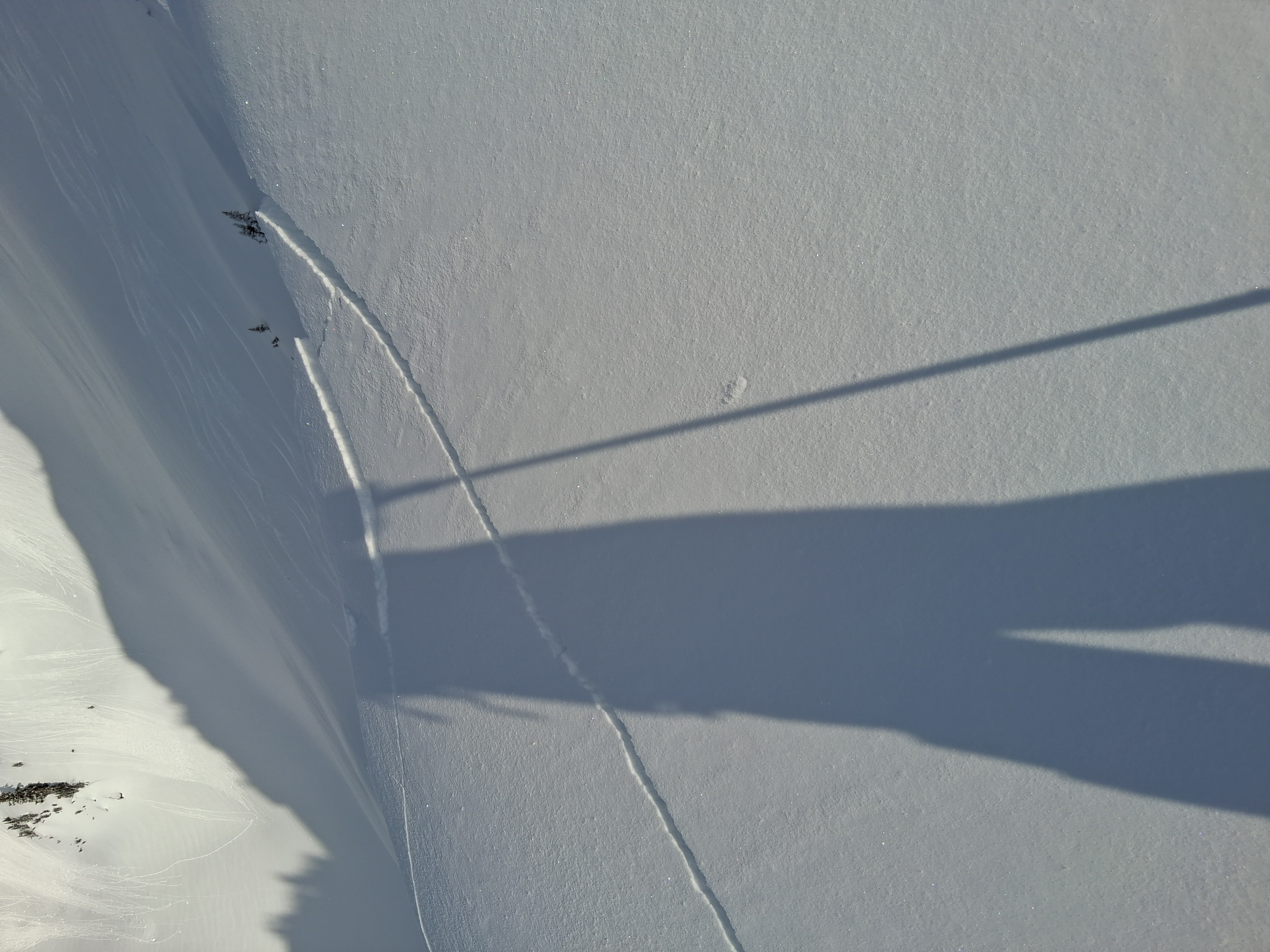 Observation photo