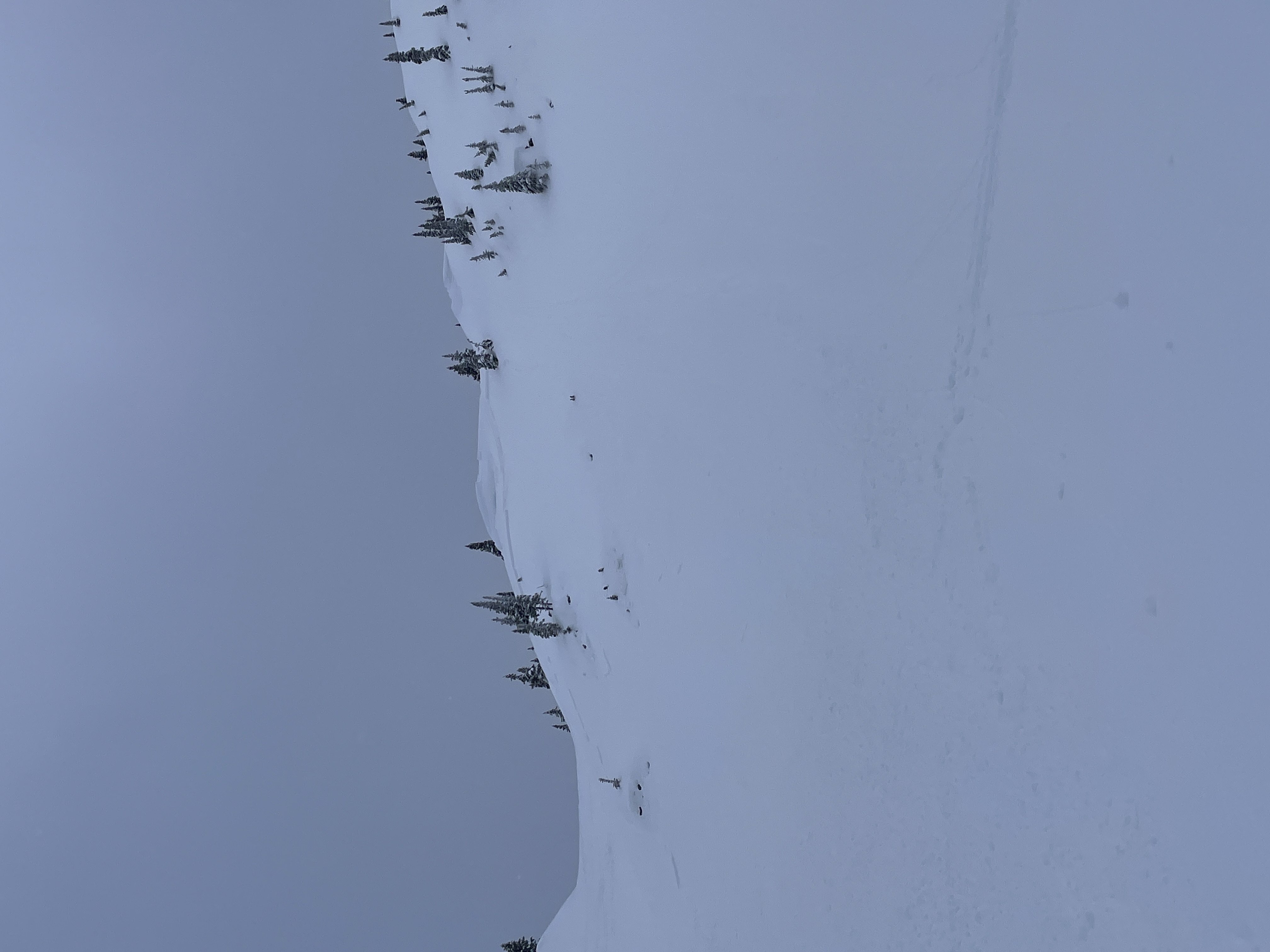 Observation photo