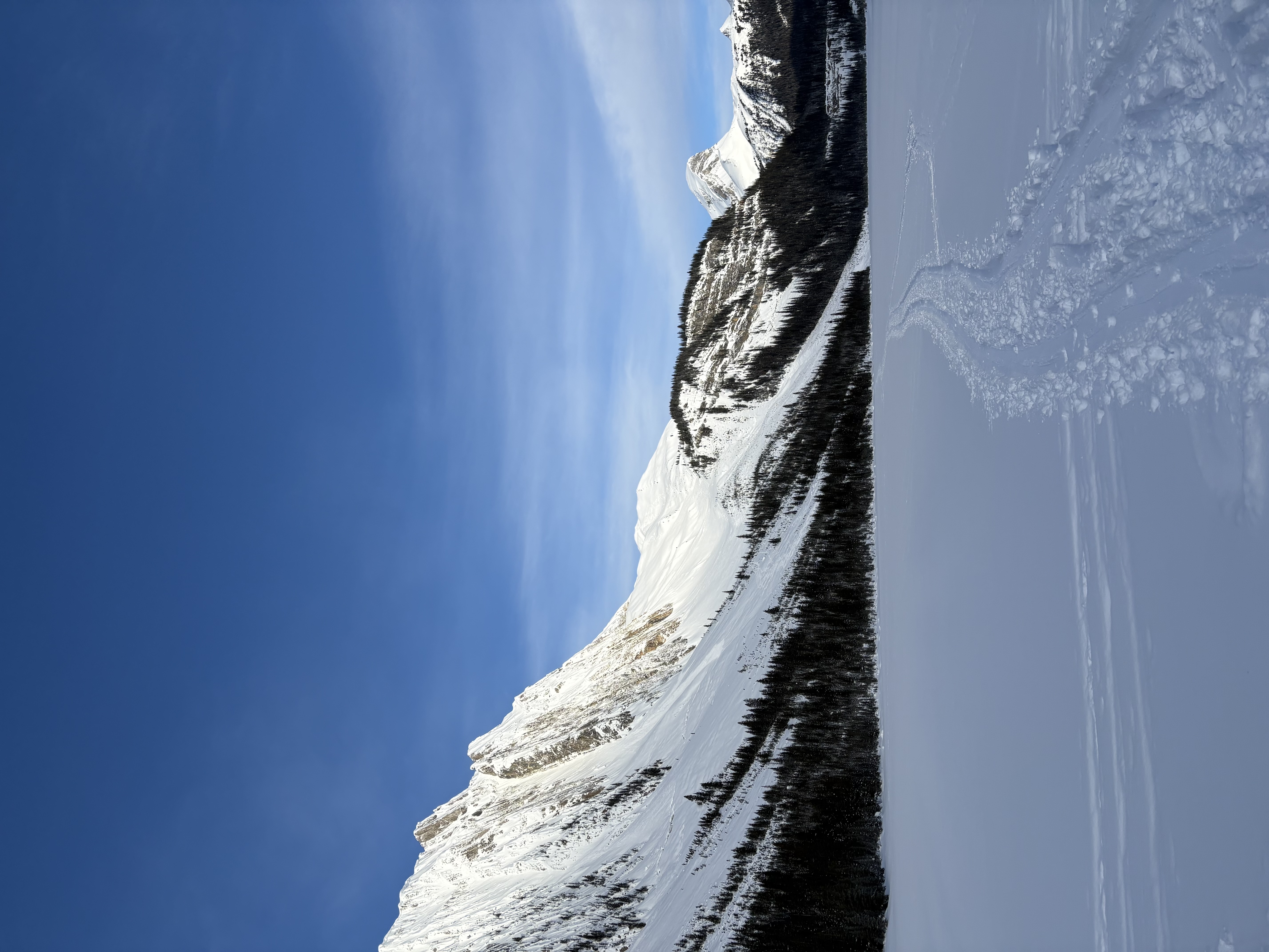 Observation photo