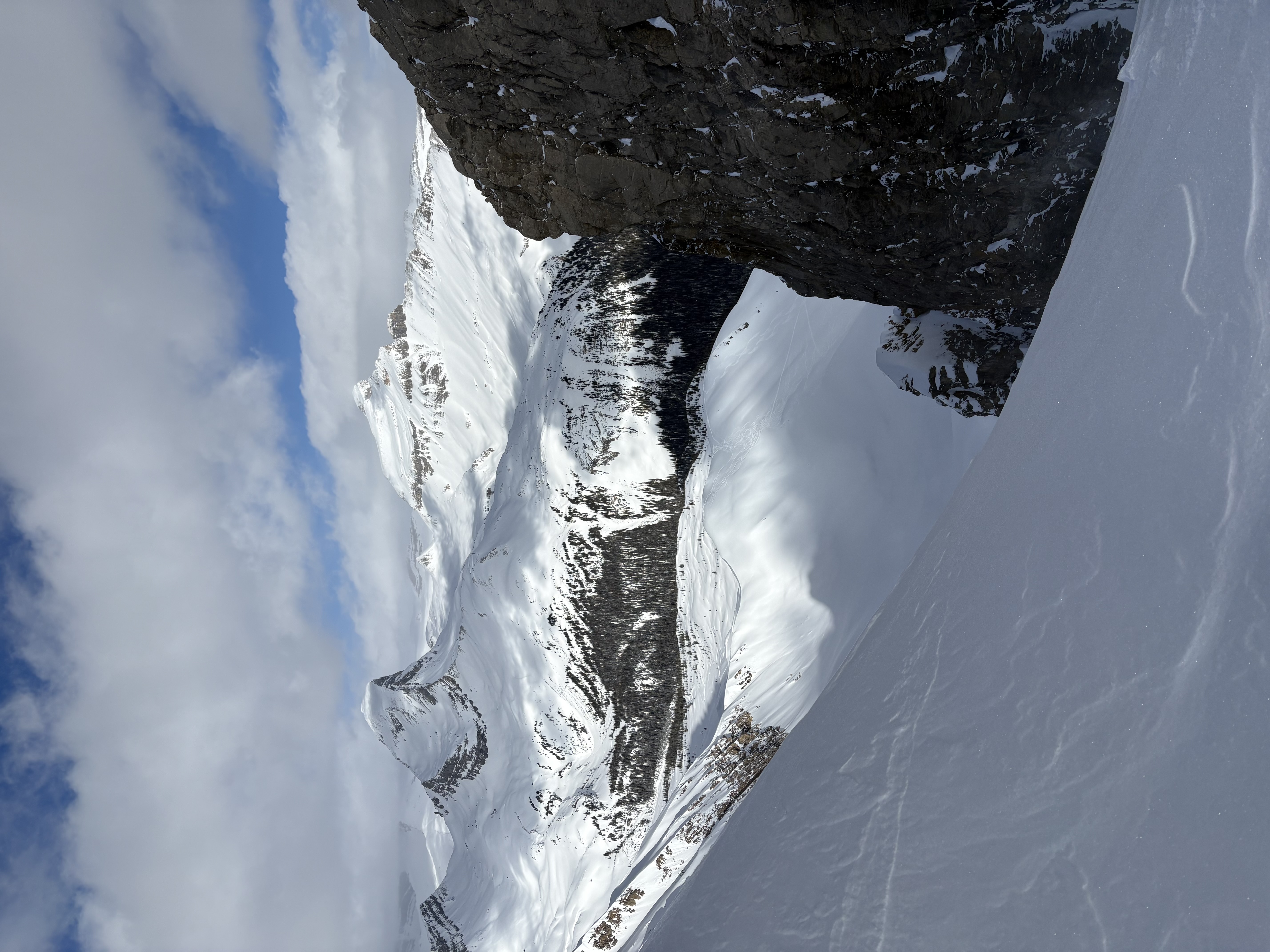 Observation photo