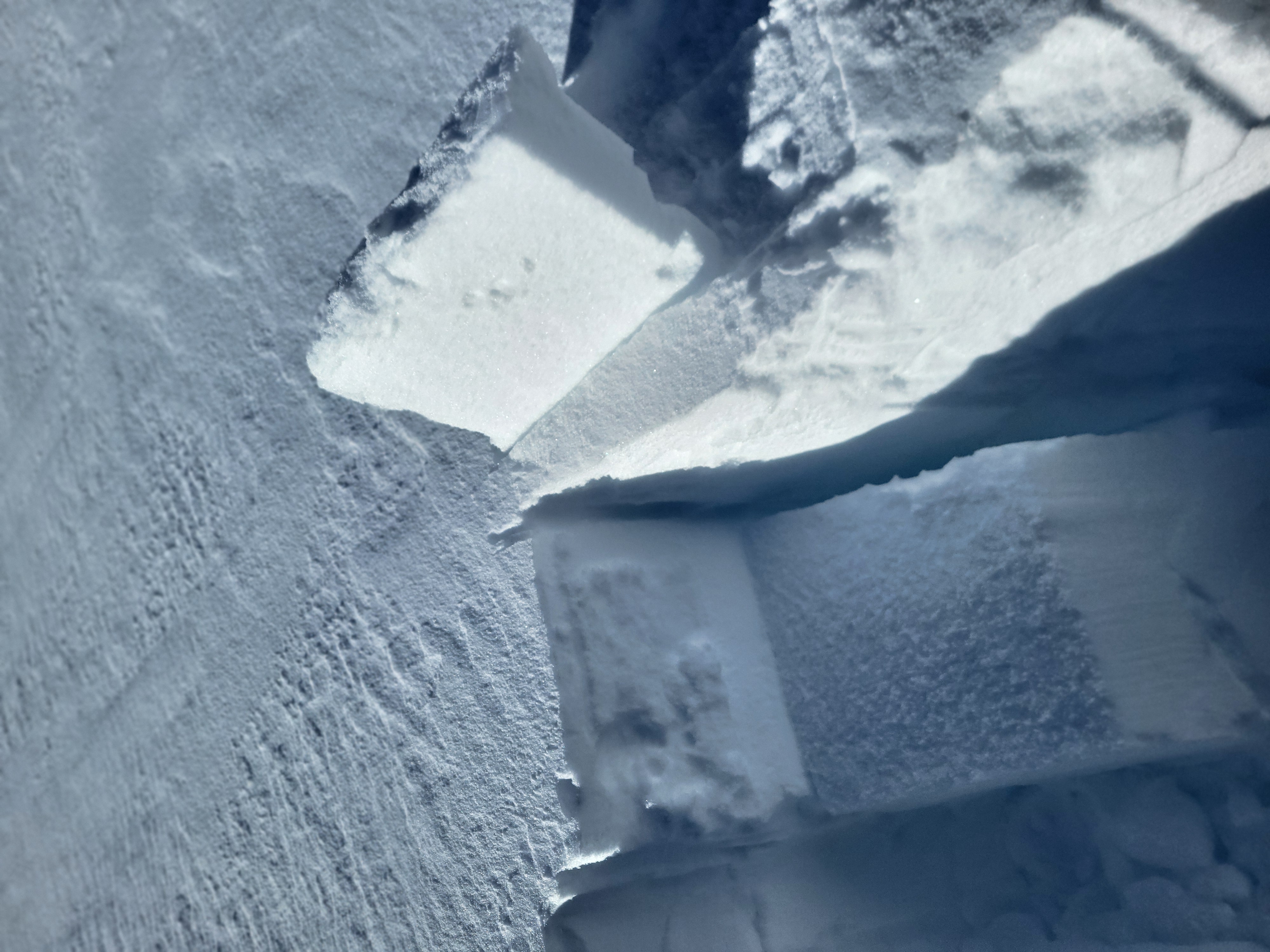 Observation photo