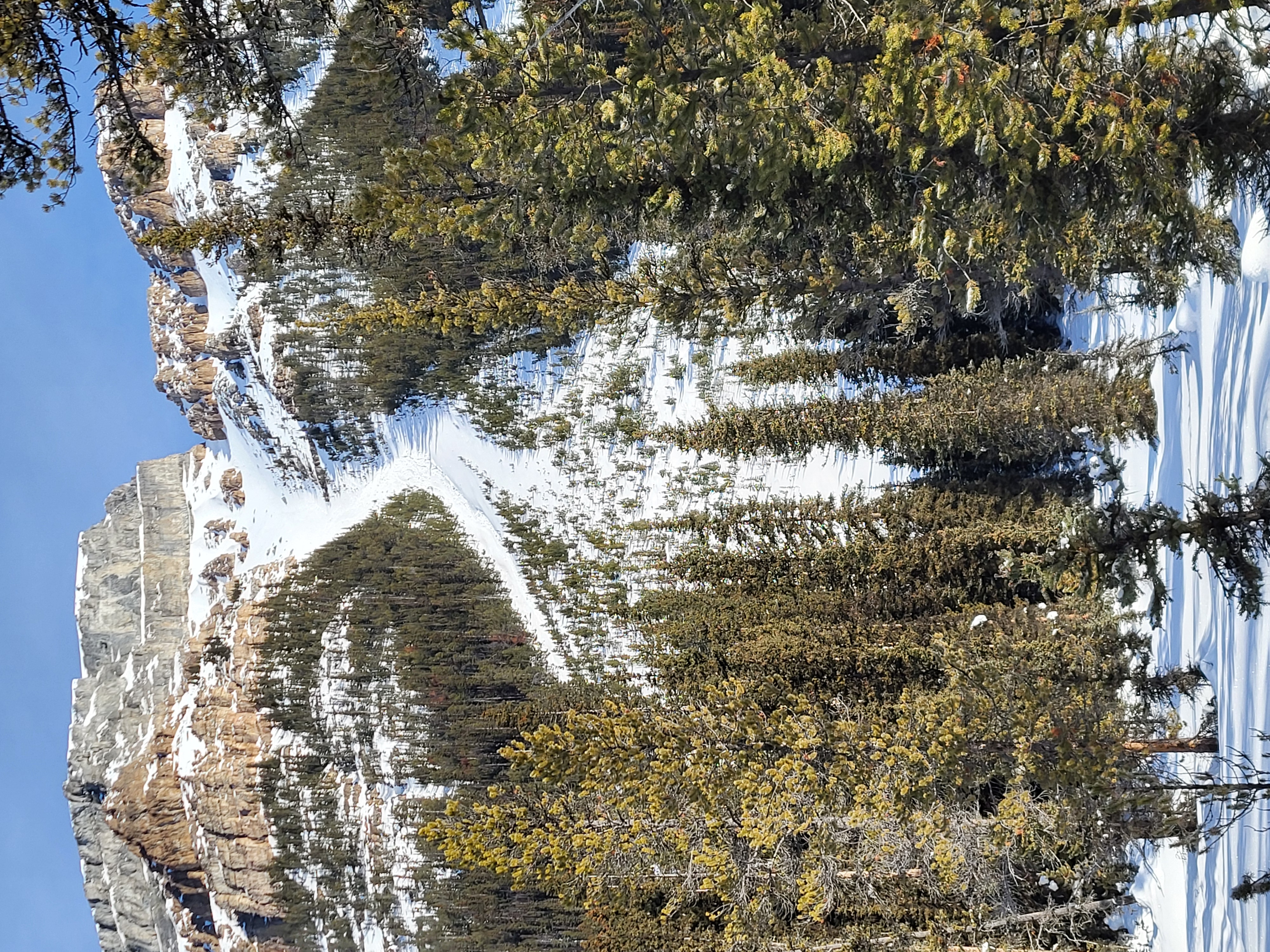 Observation photo