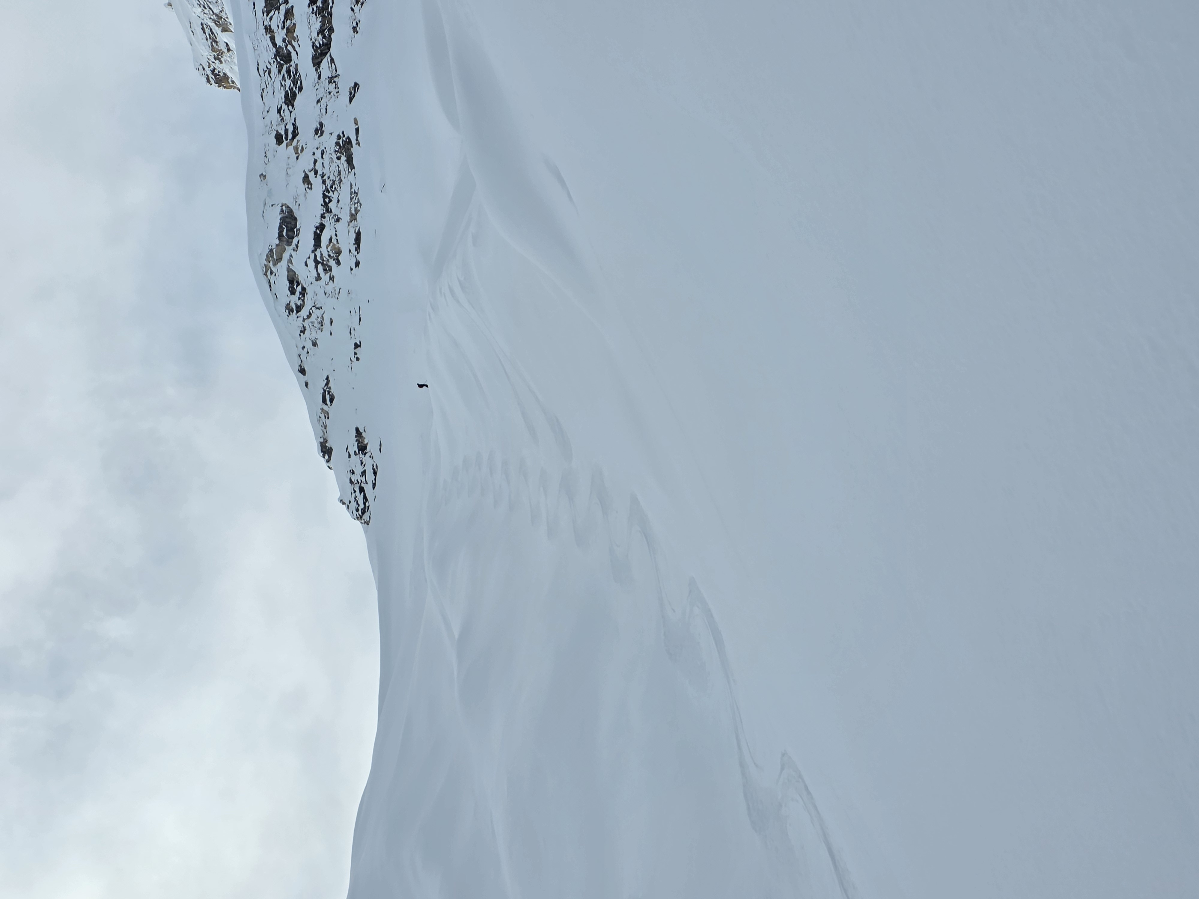 Observation photo