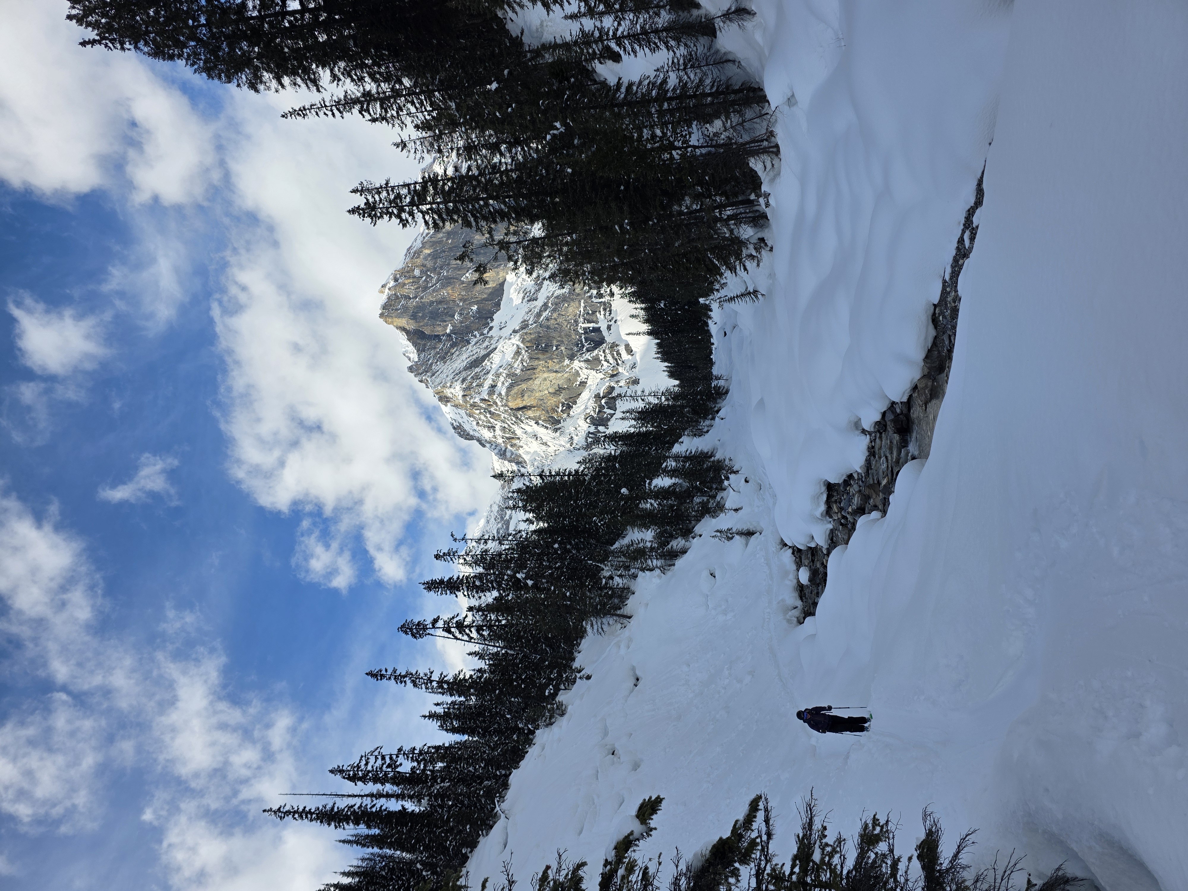 Observation photo
