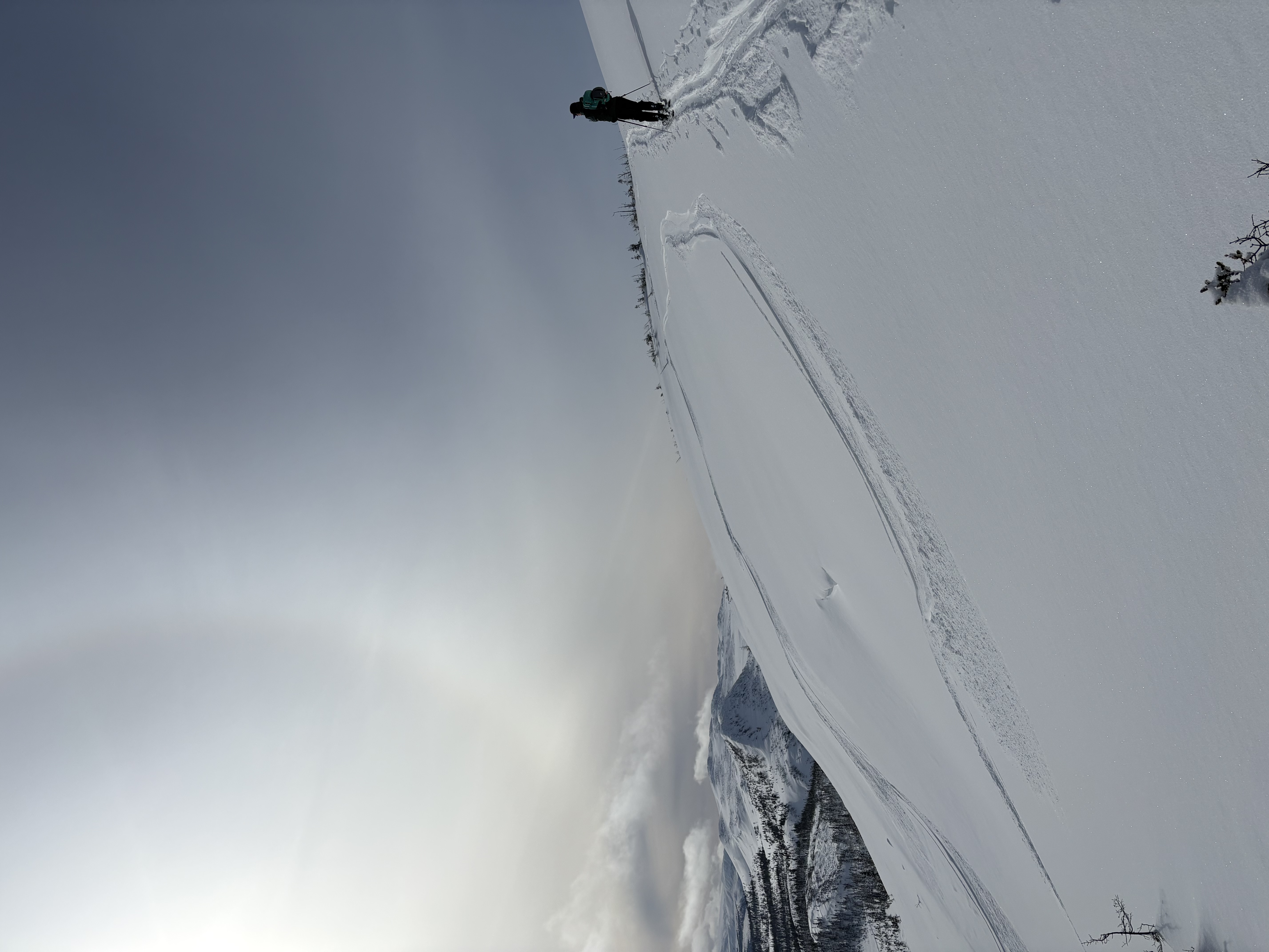 Observation photo