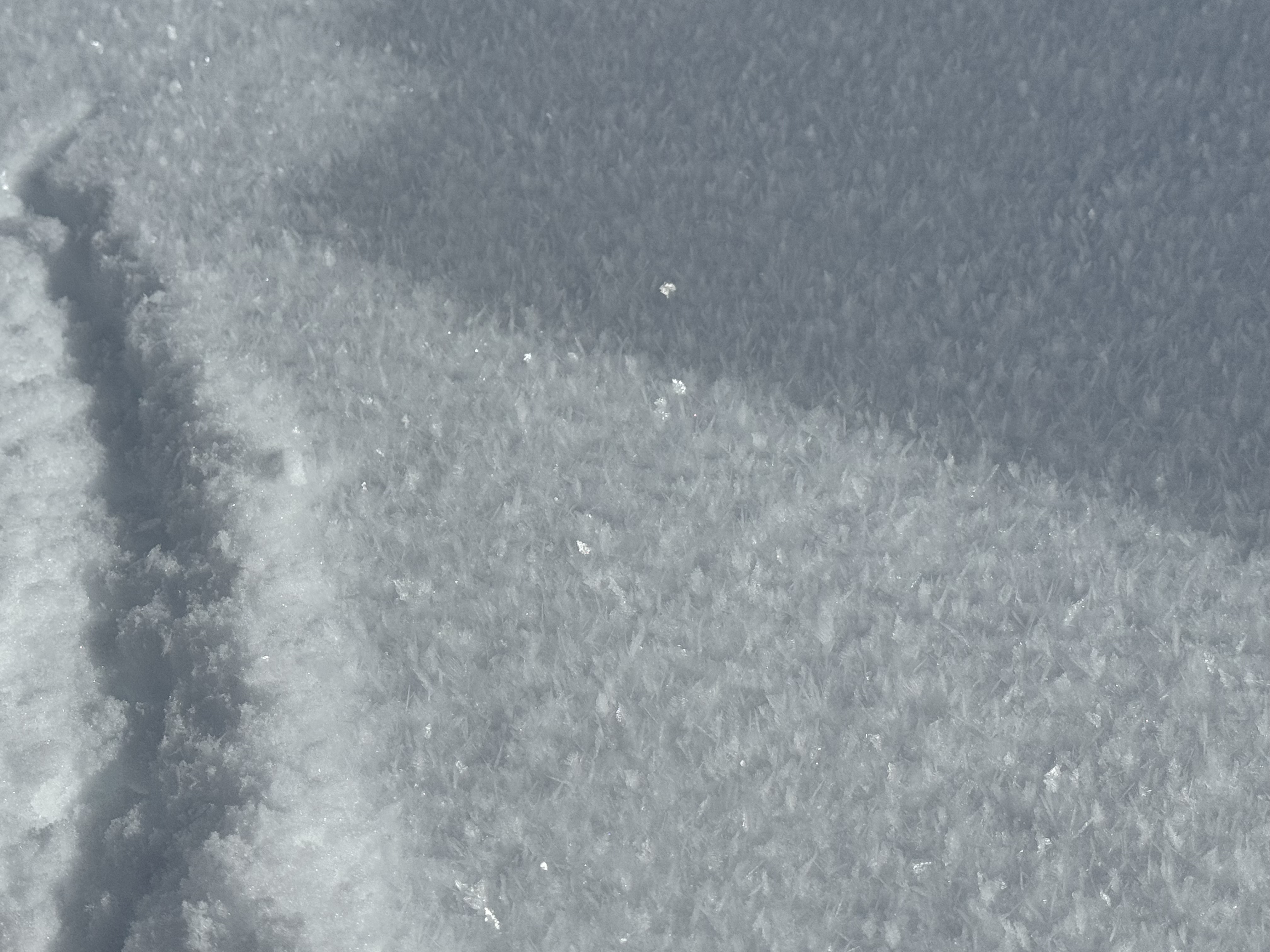 Observation photo