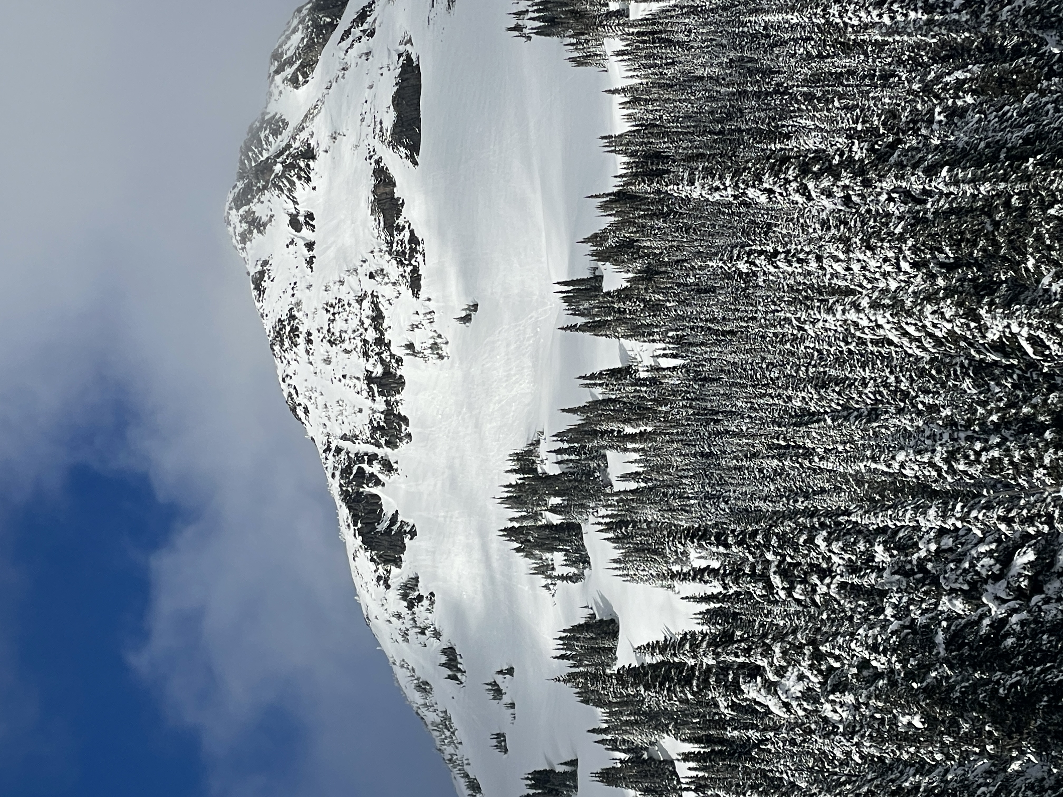 Observation photo