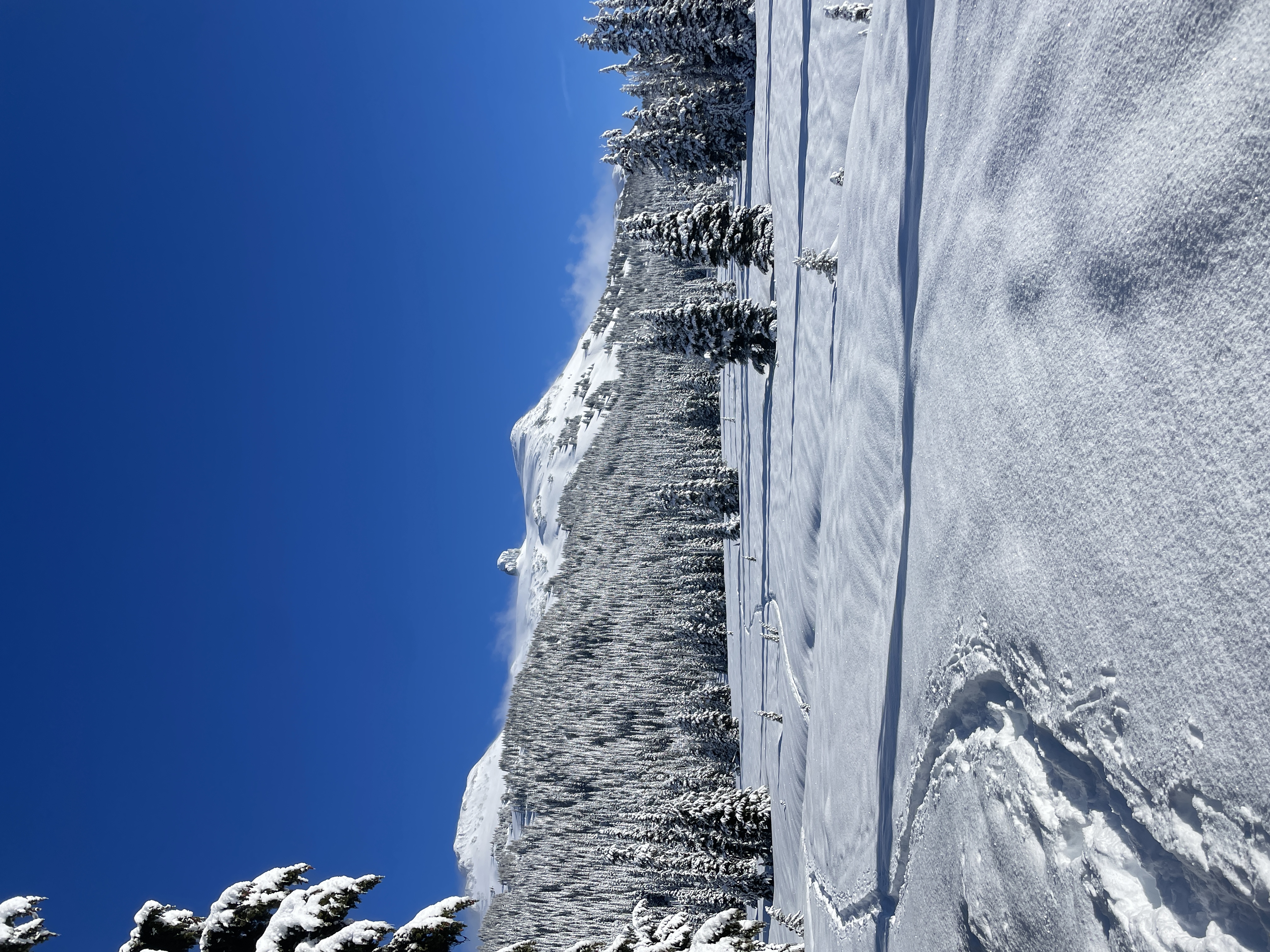 Observation photo