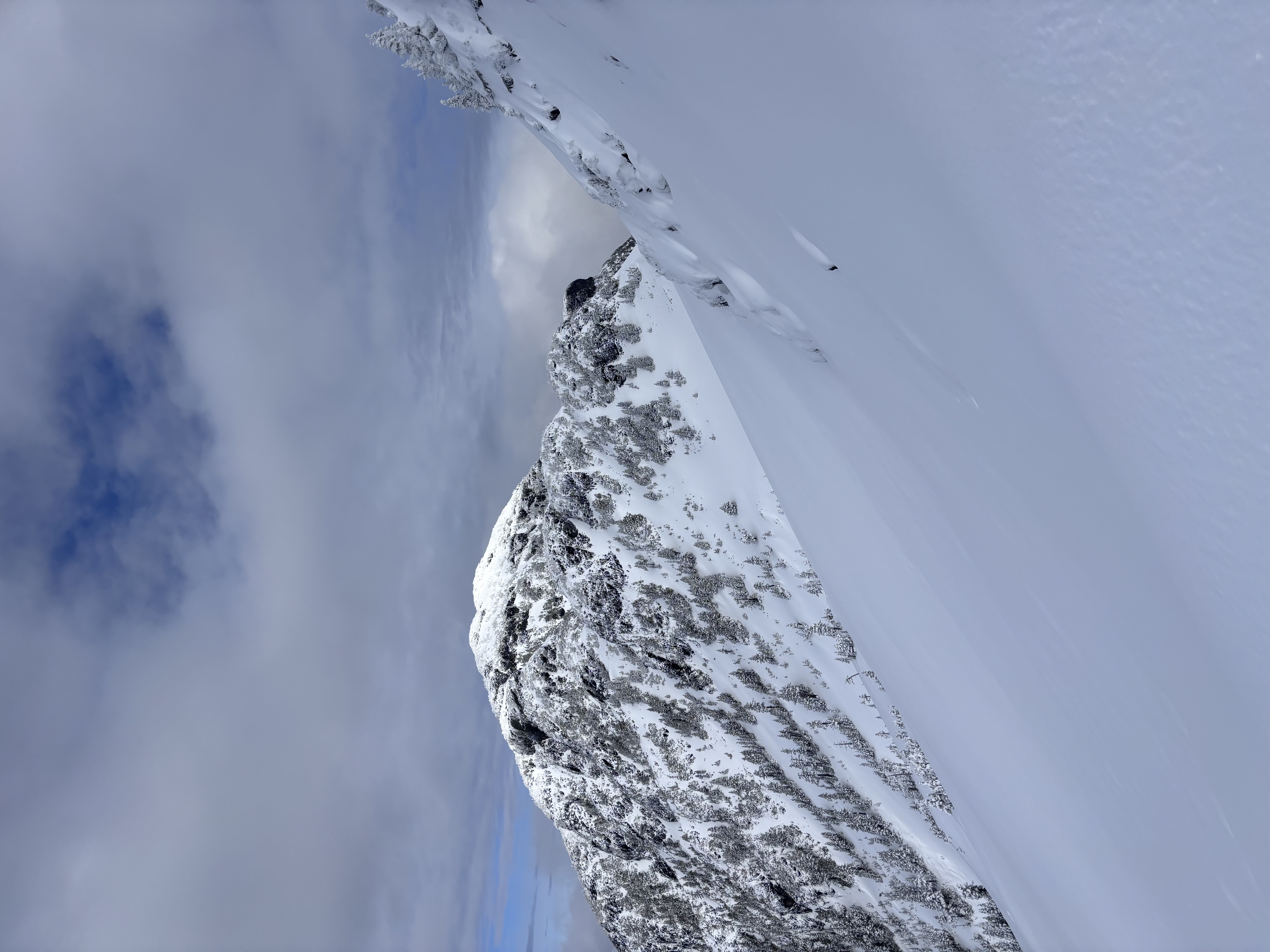 Observation photo