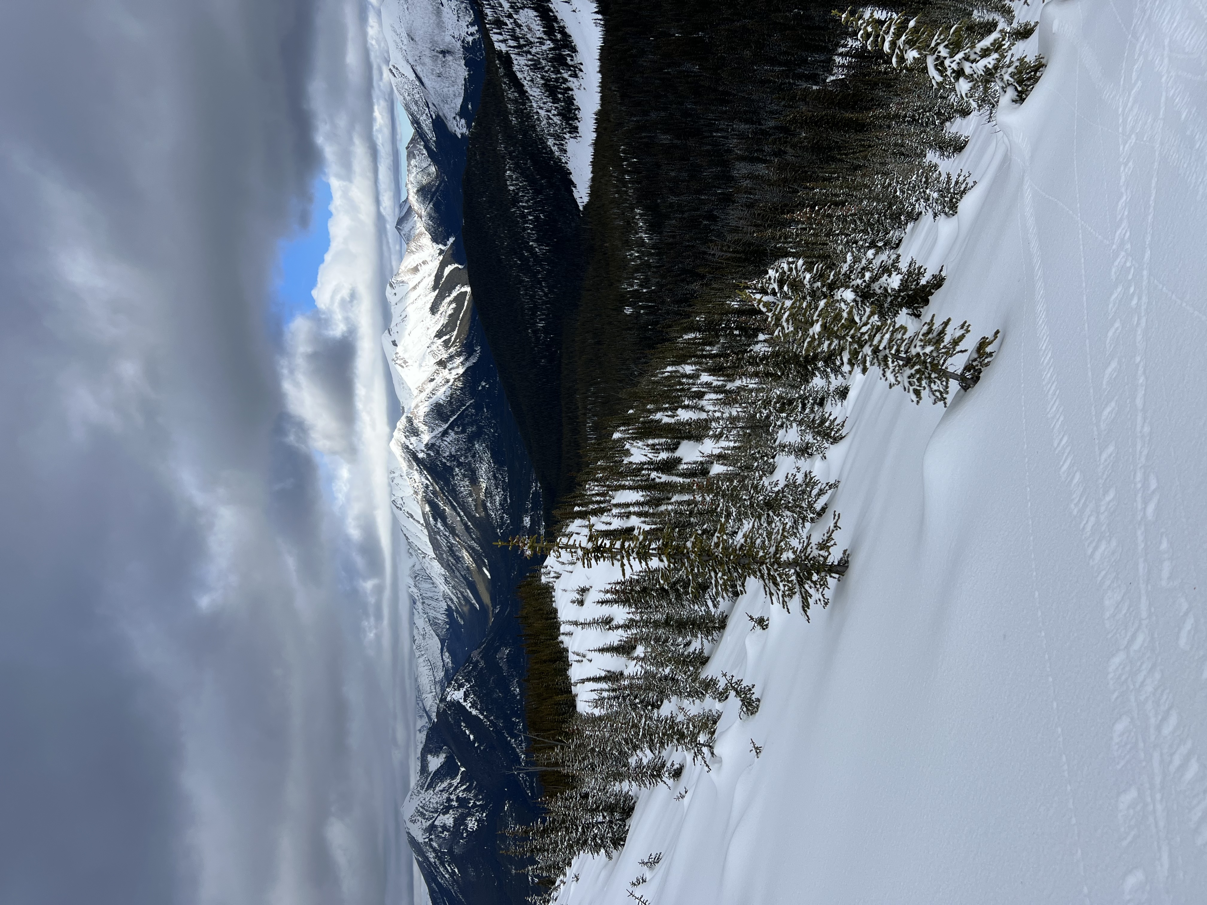 Observation photo