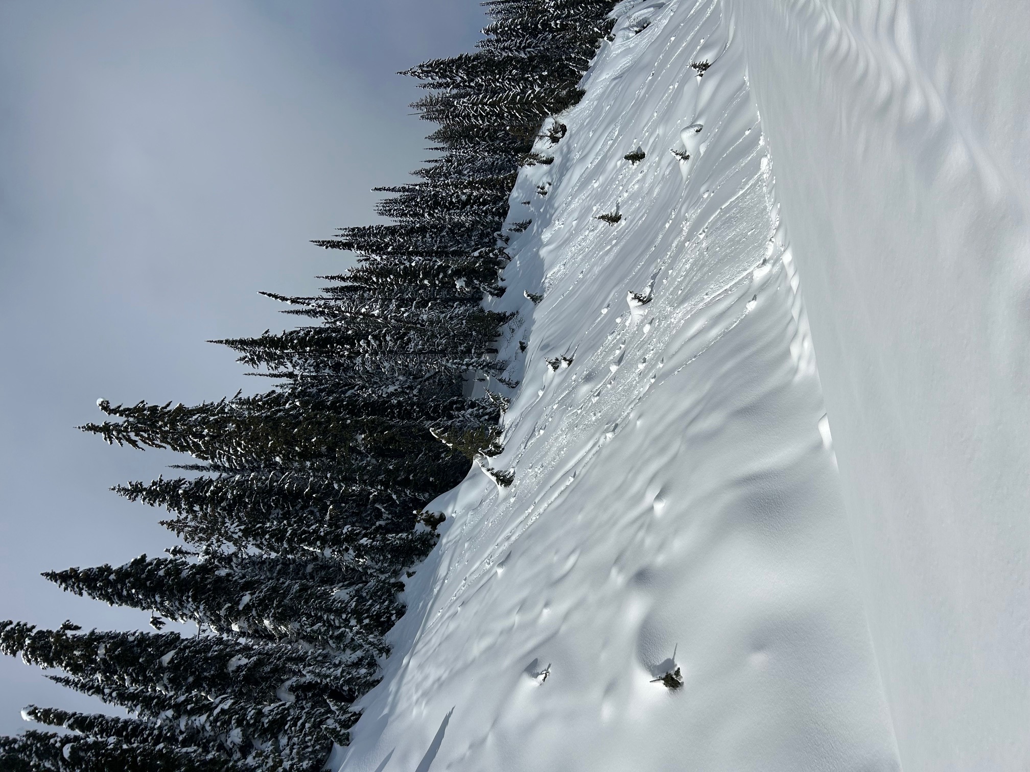 Observation photo