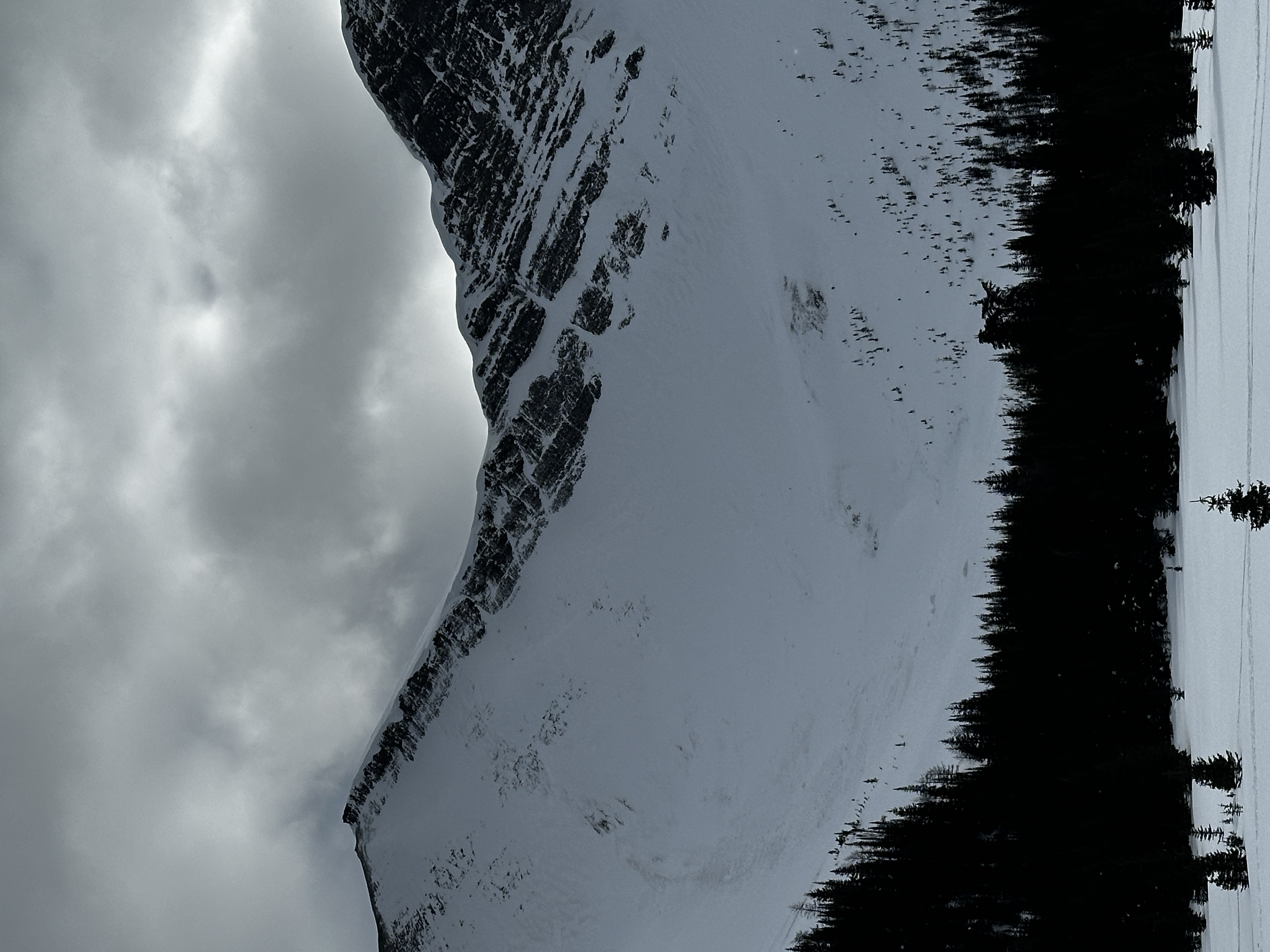 Observation photo
