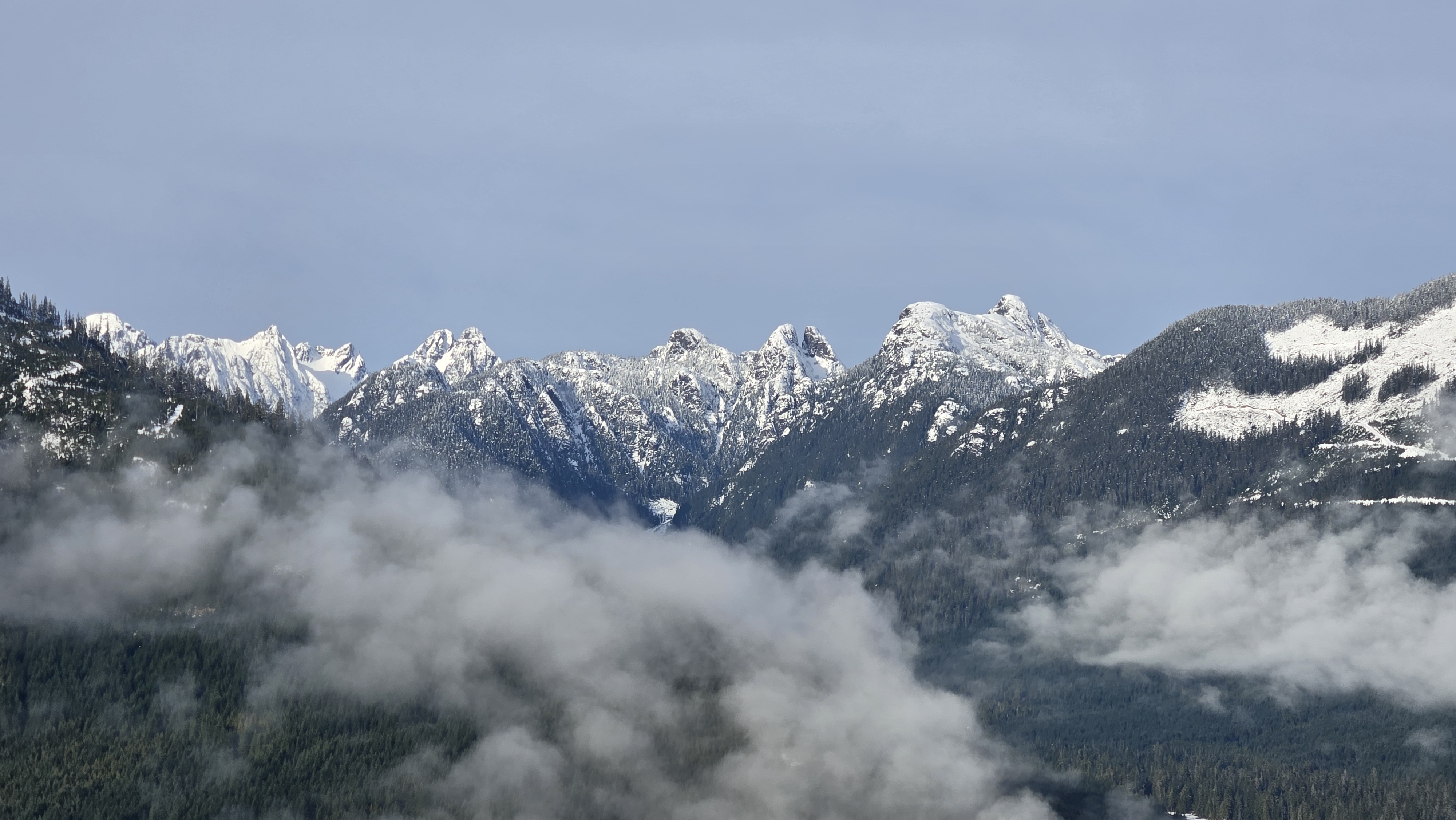 Observation photo