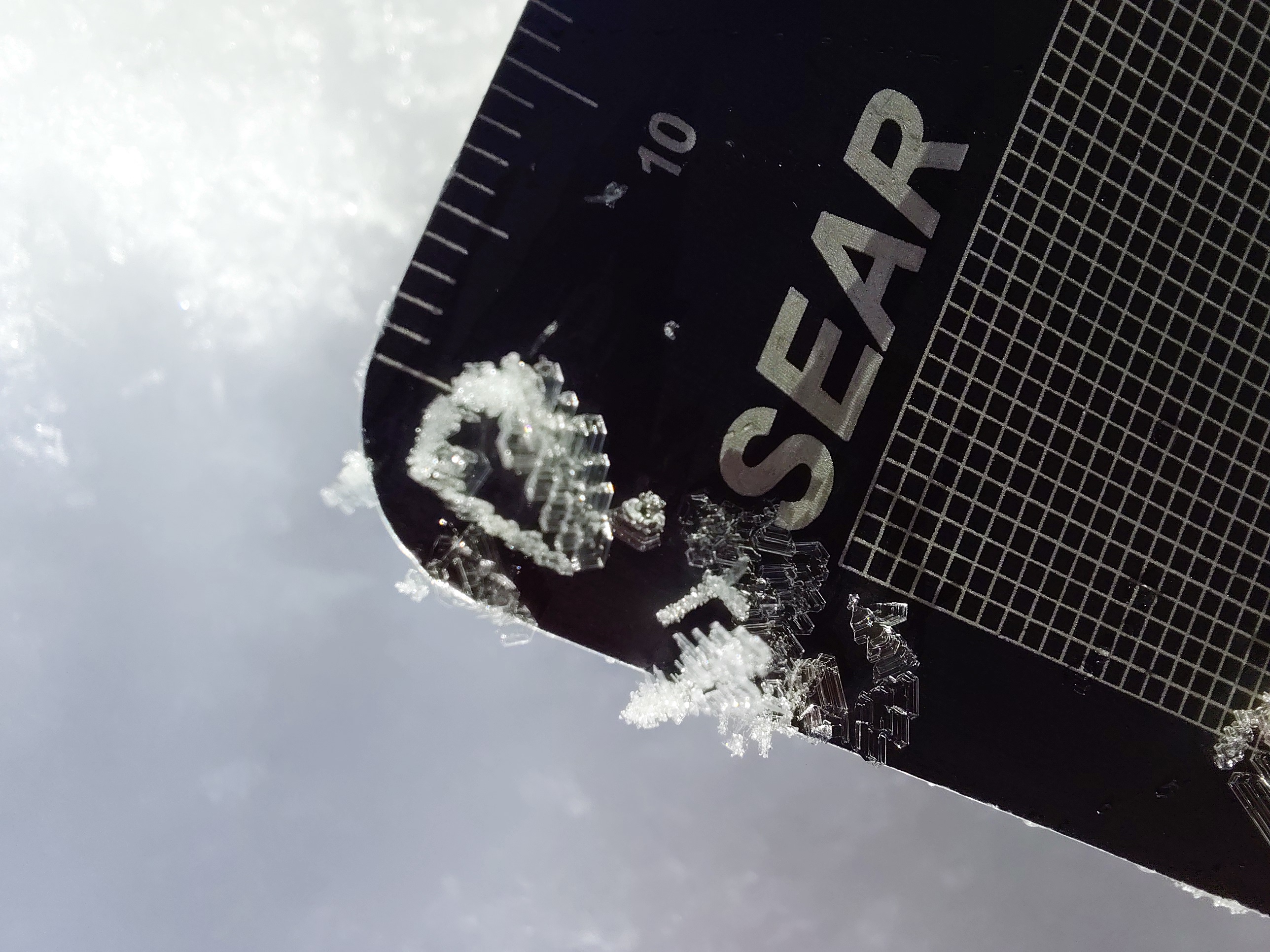 Observation photo