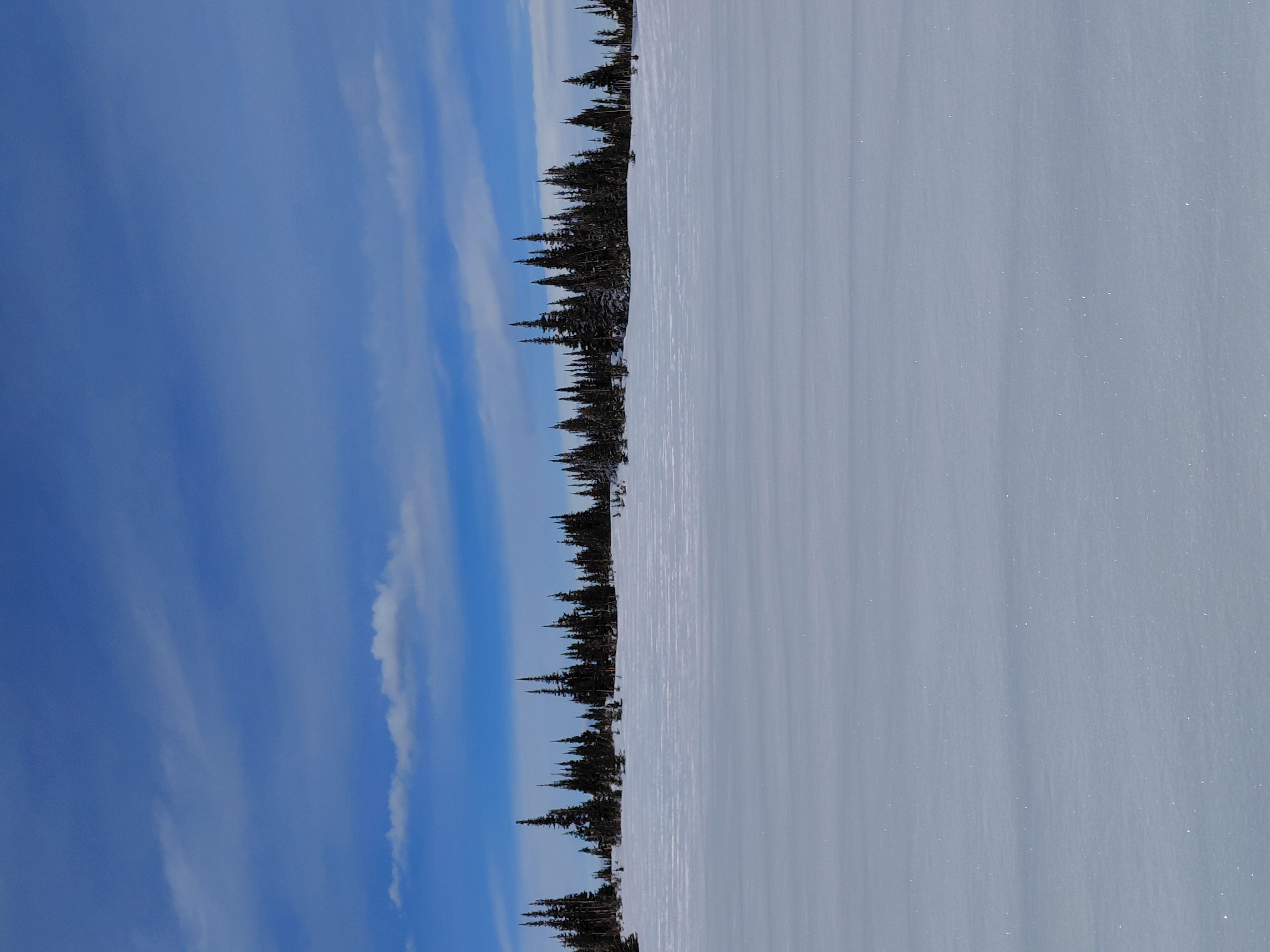 Observation photo