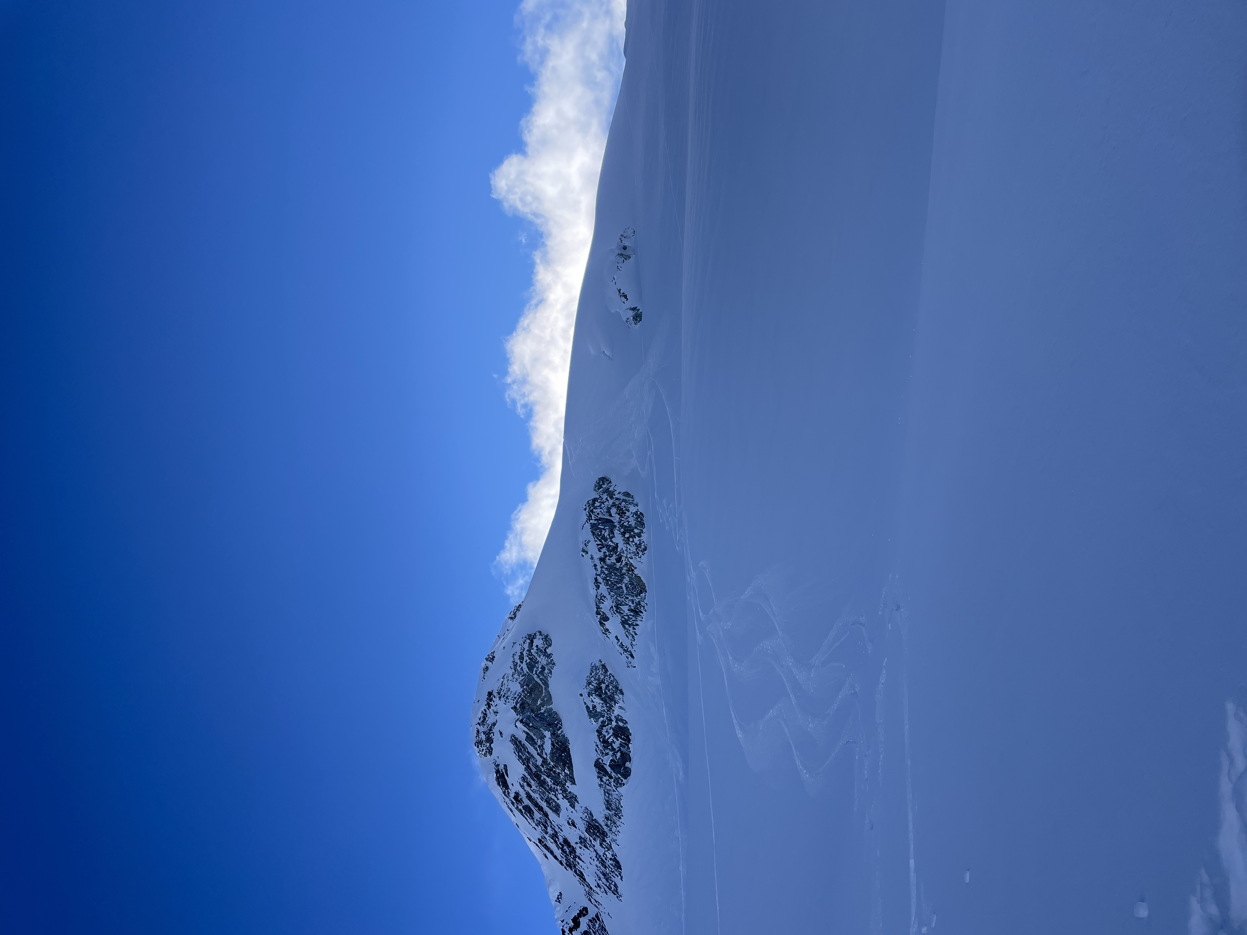 Observation photo