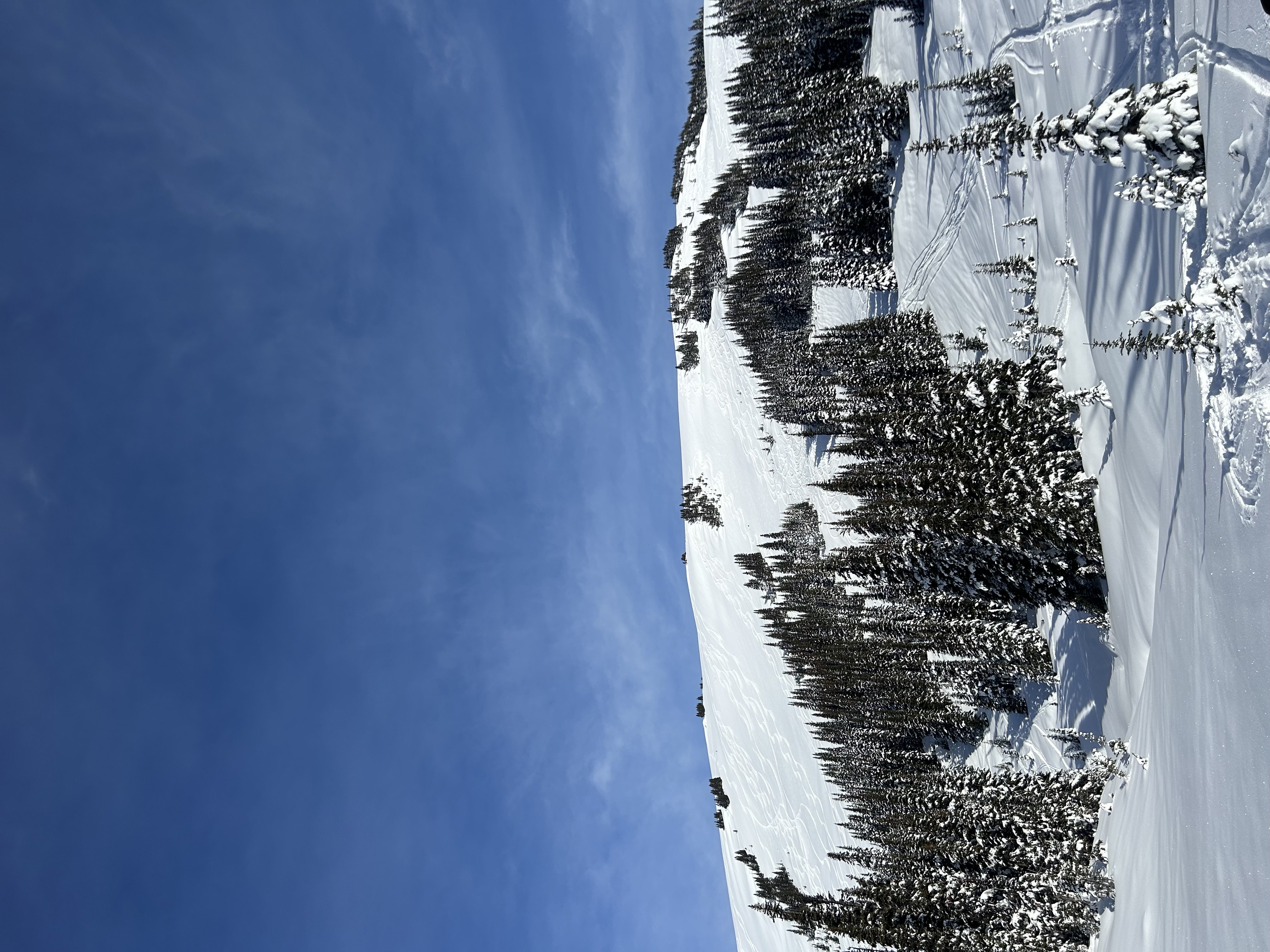 Observation photo