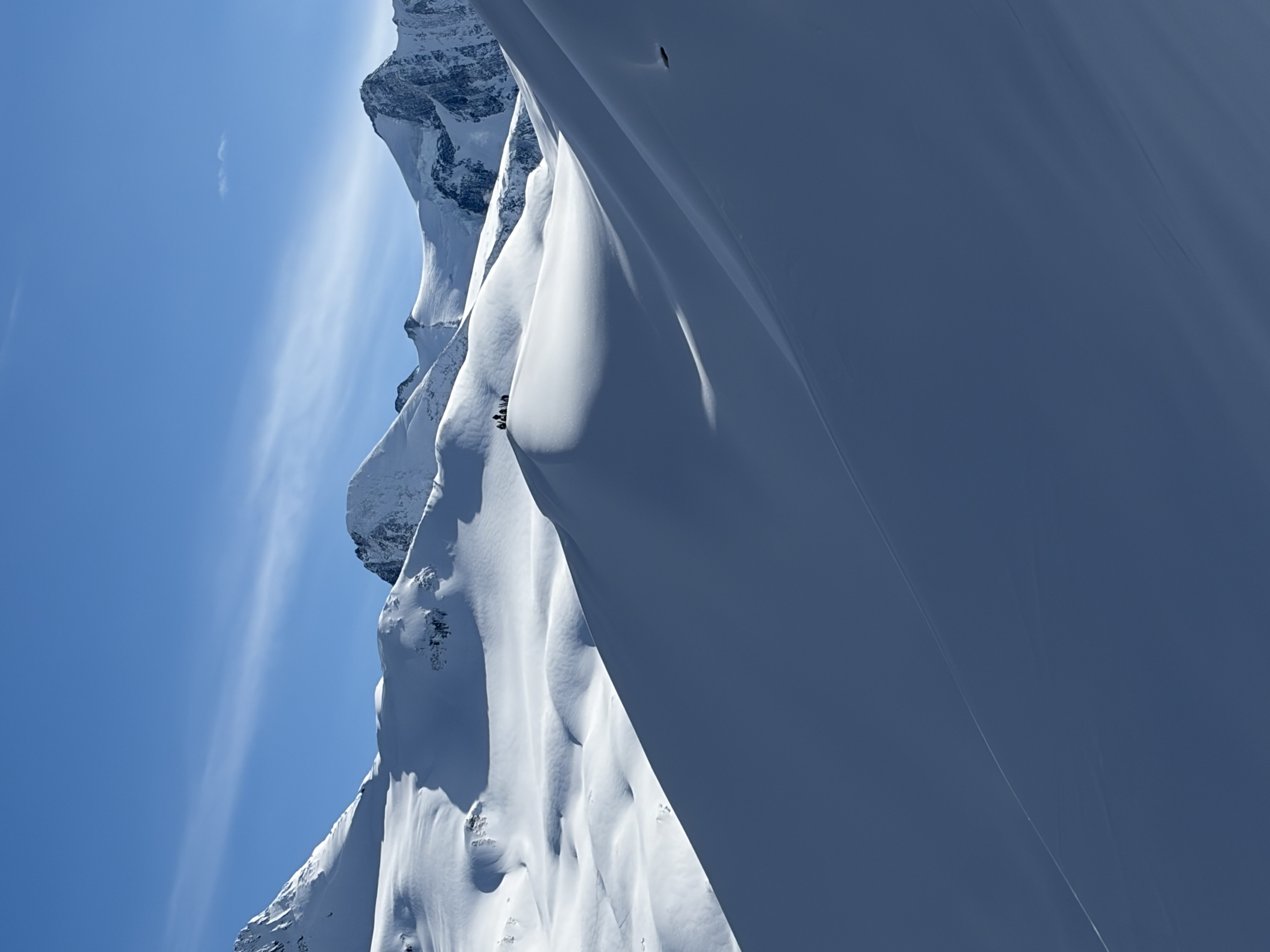 Observation photo