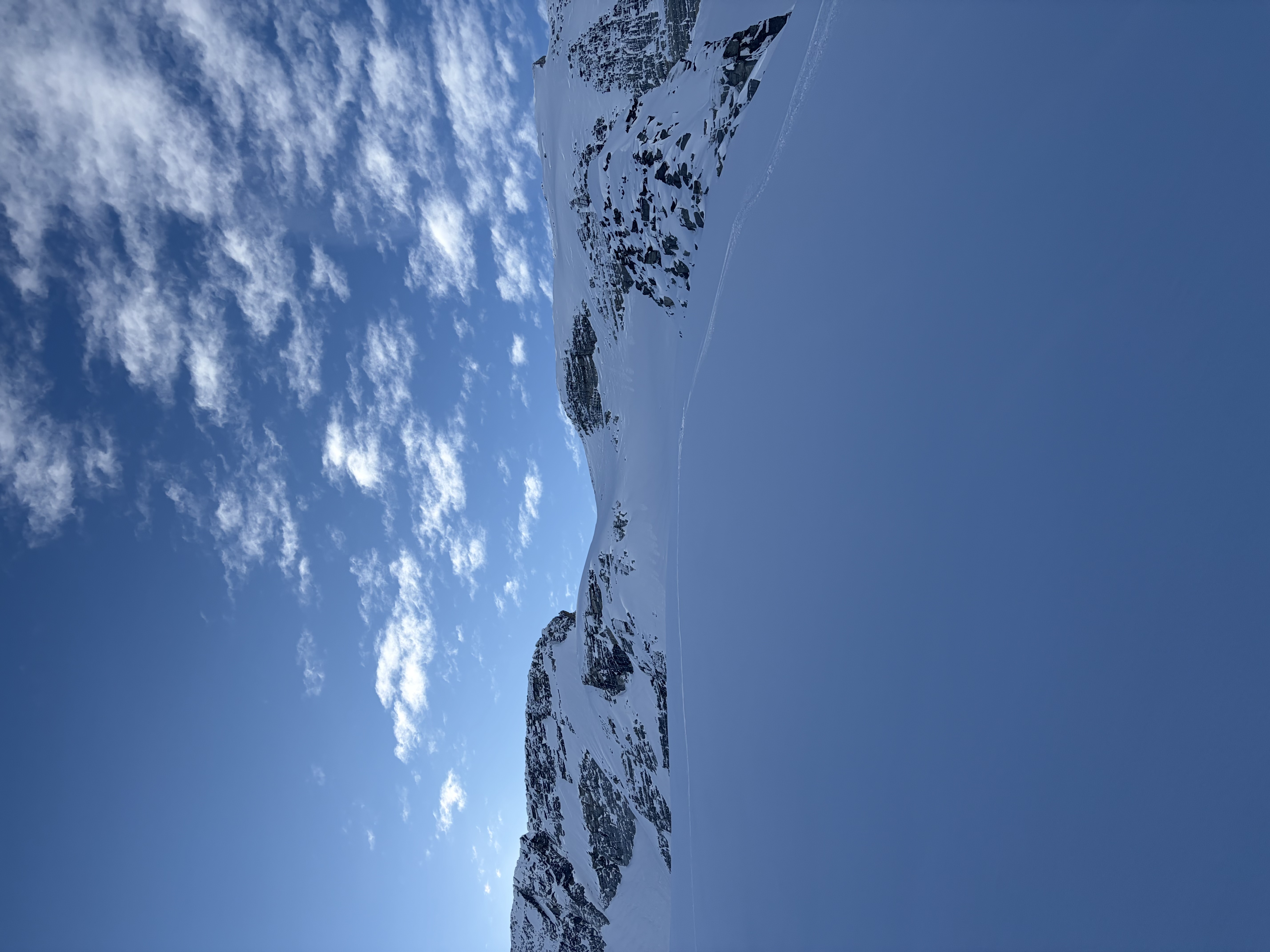 Observation photo