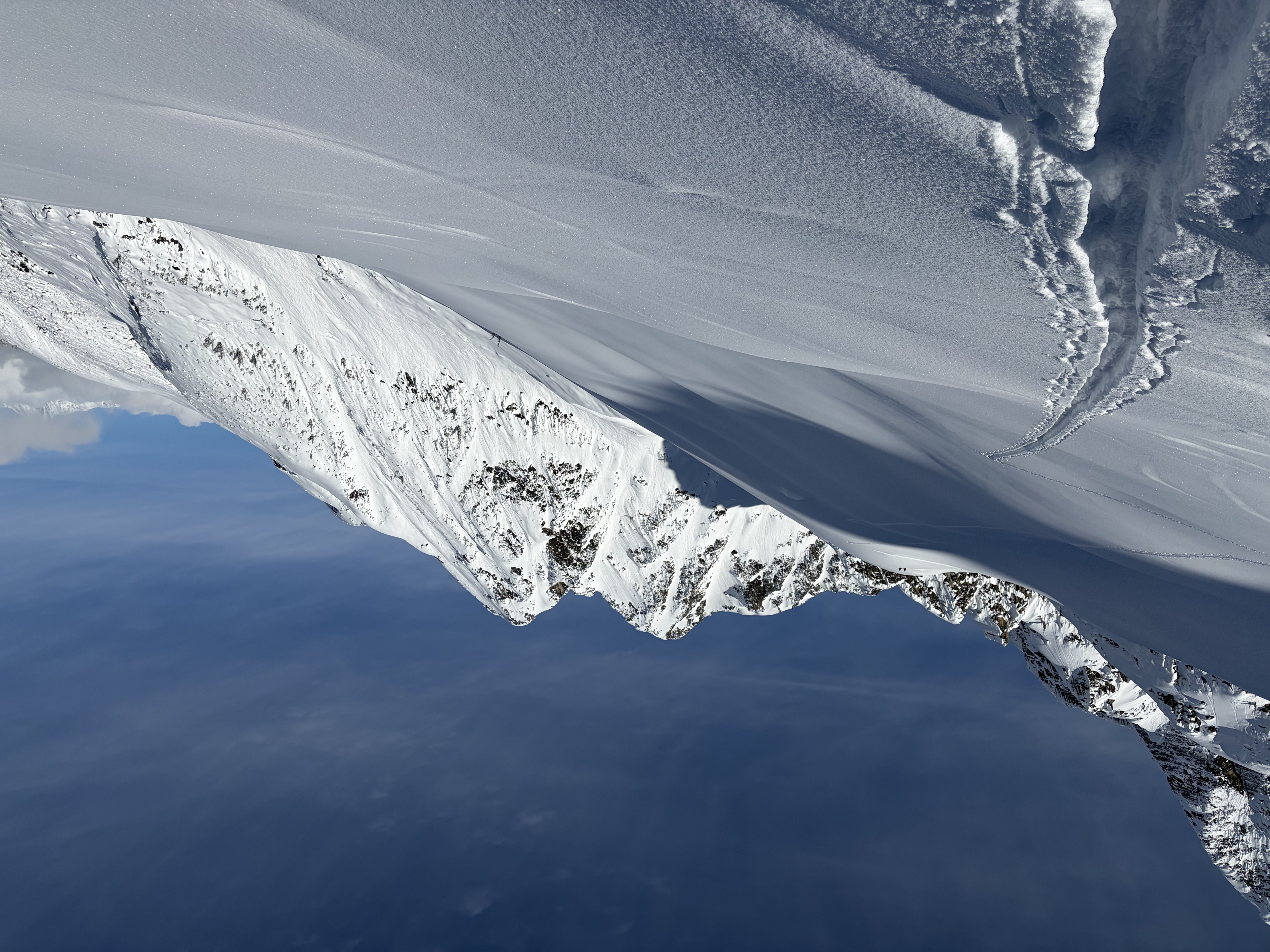 Observation photo