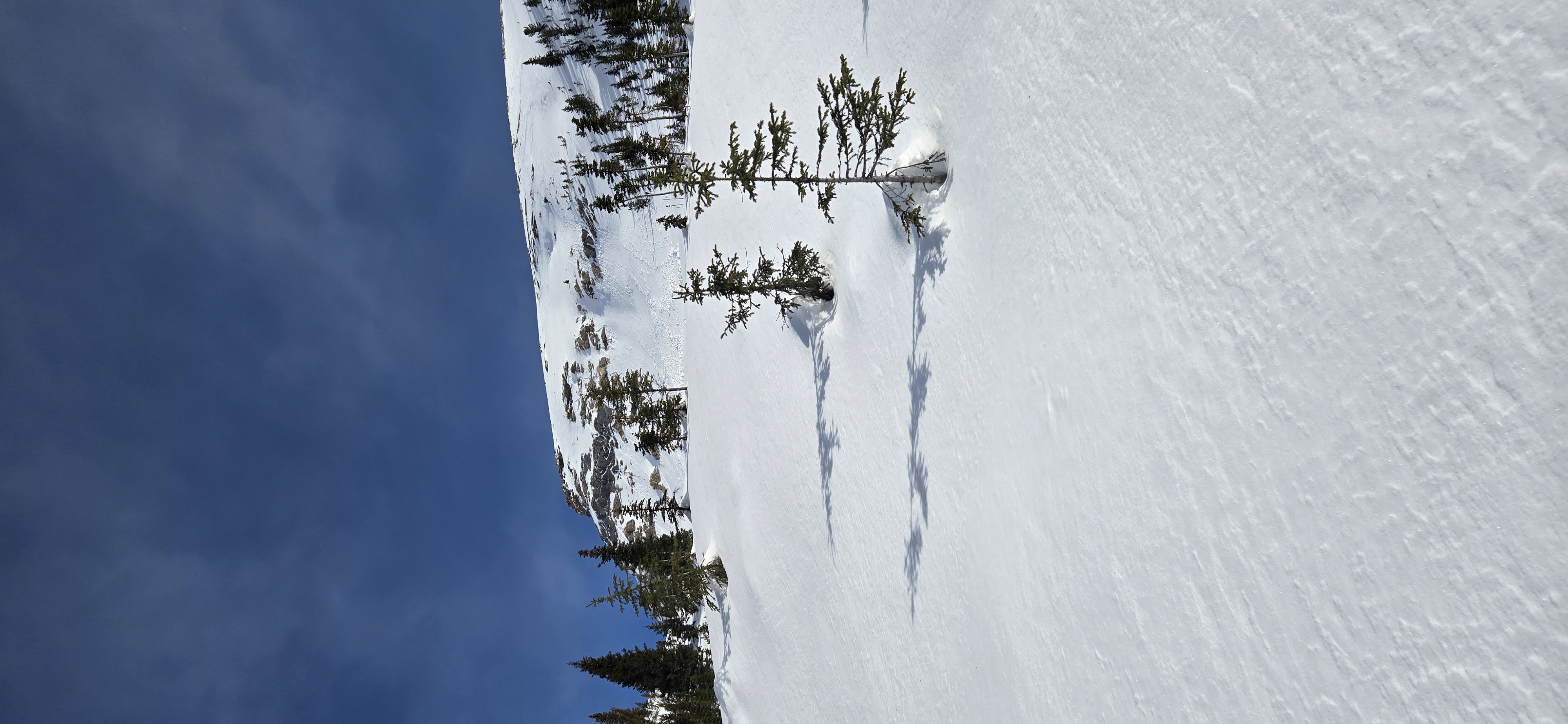 Observation photo