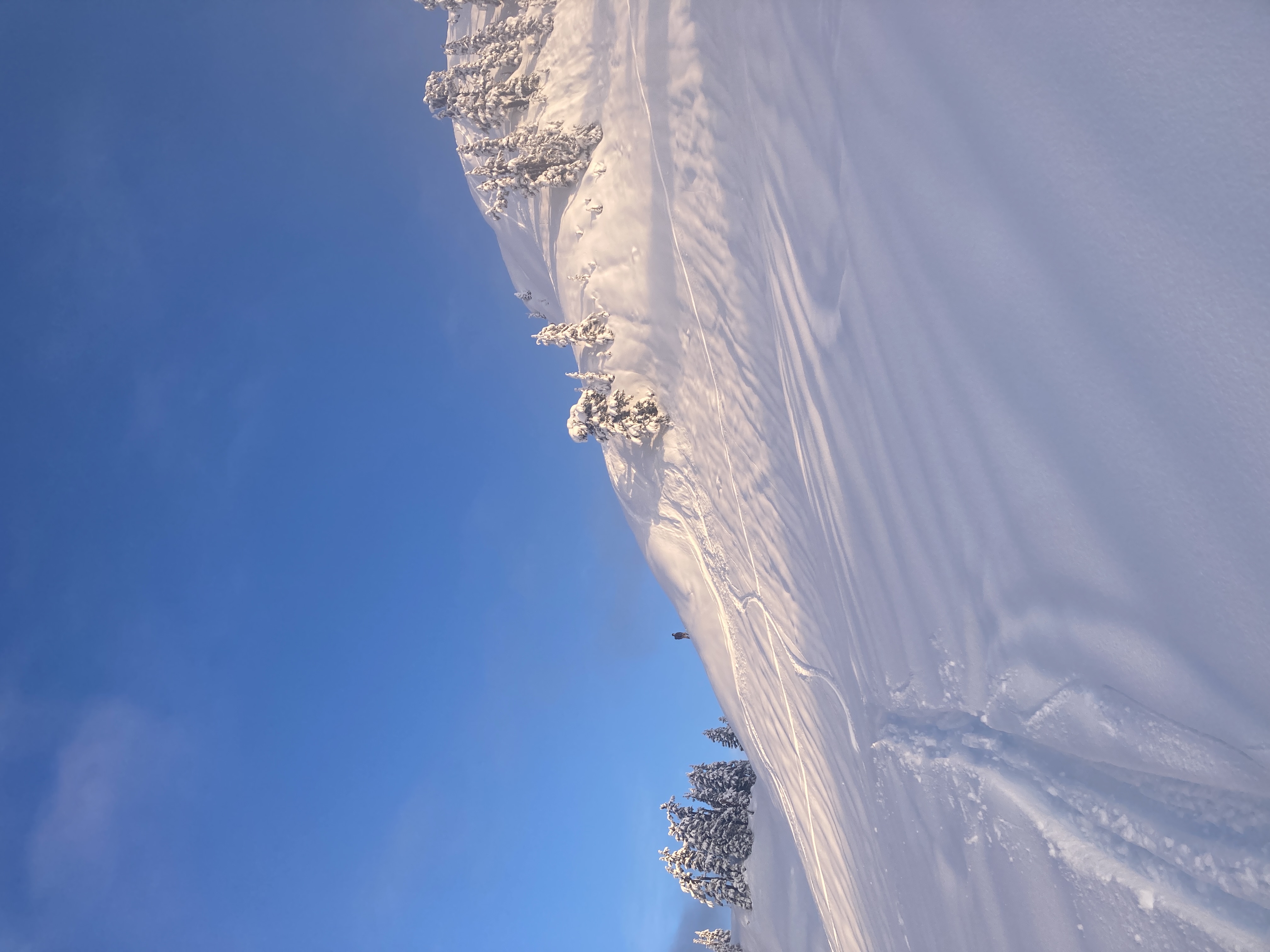 Observation photo