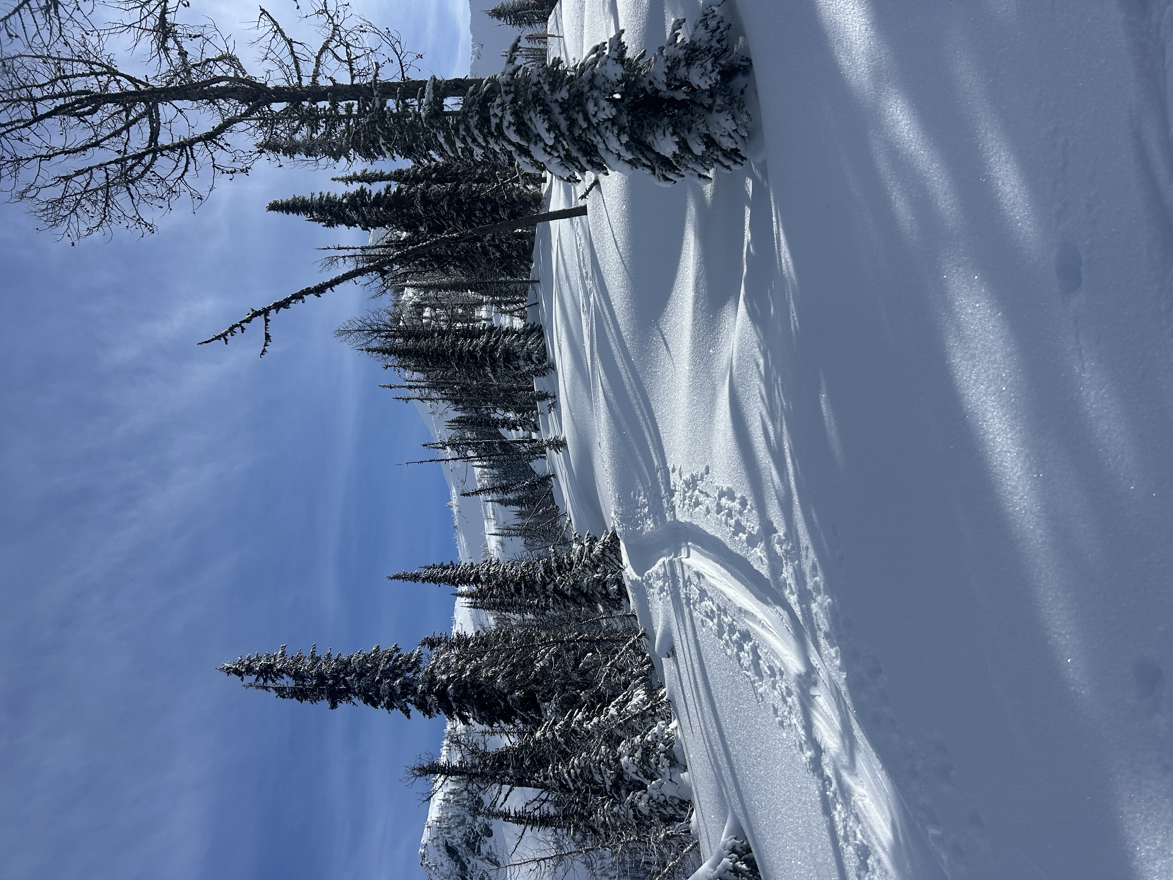 Observation photo