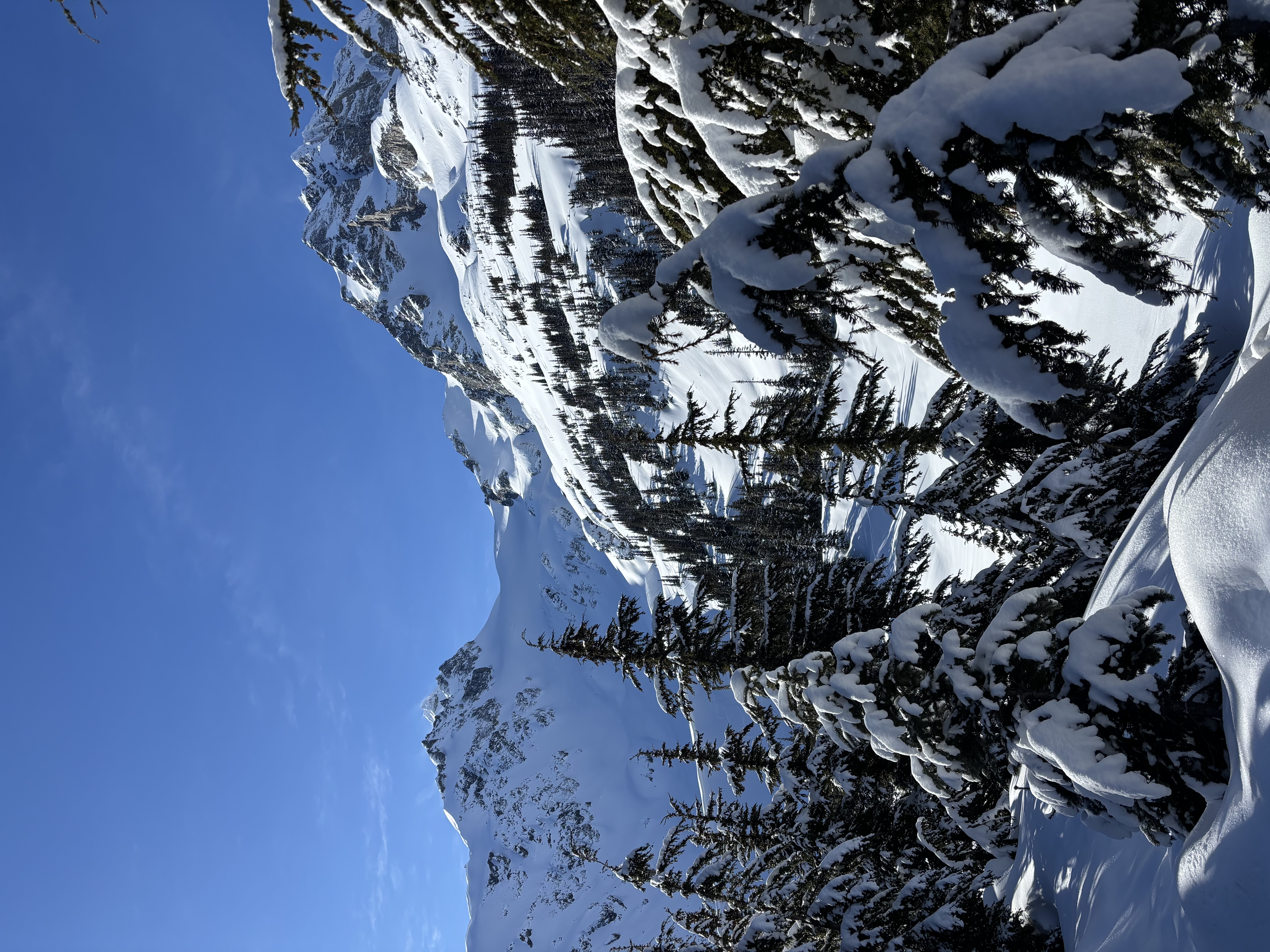 Observation photo