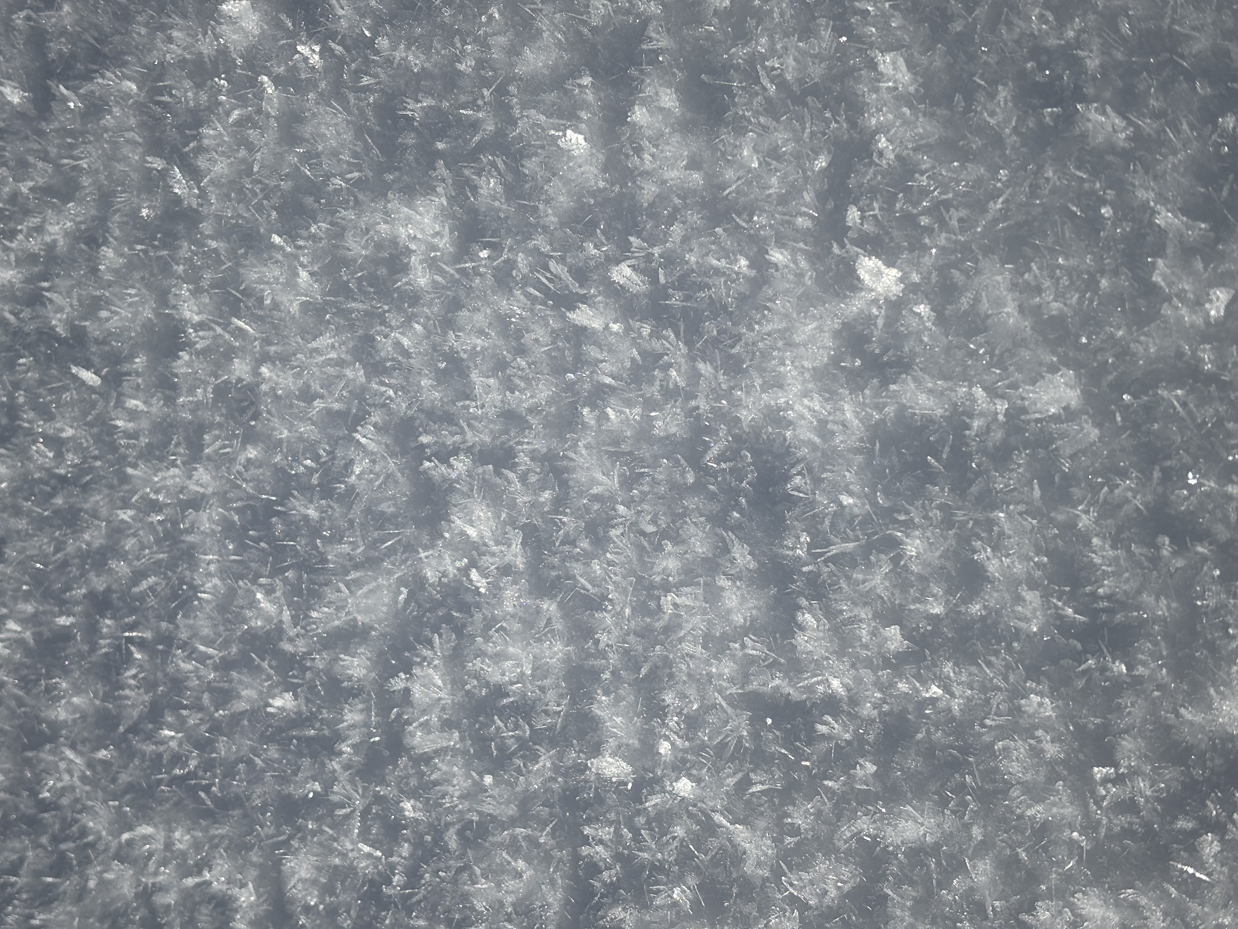 Observation photo