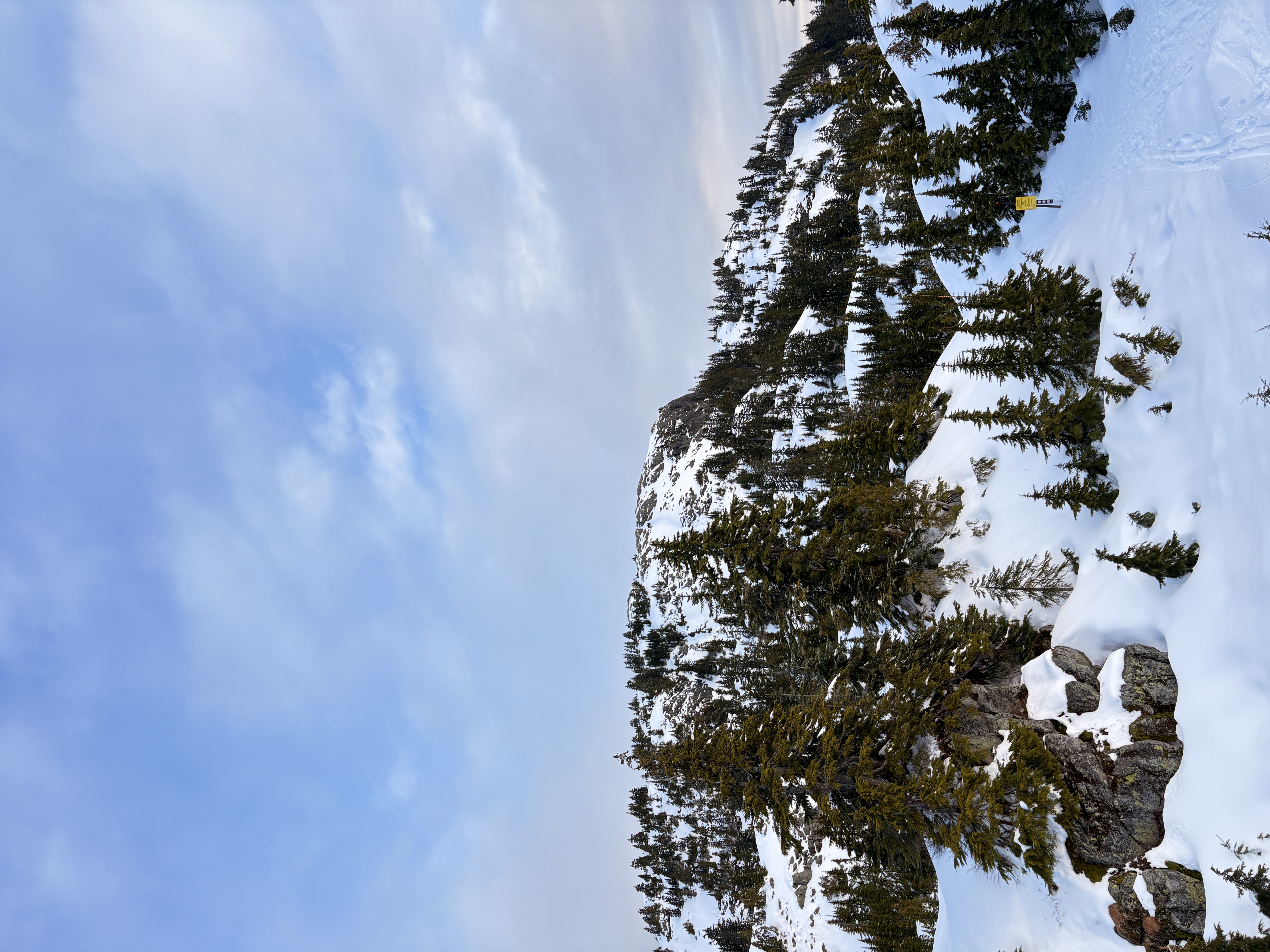 Observation photo