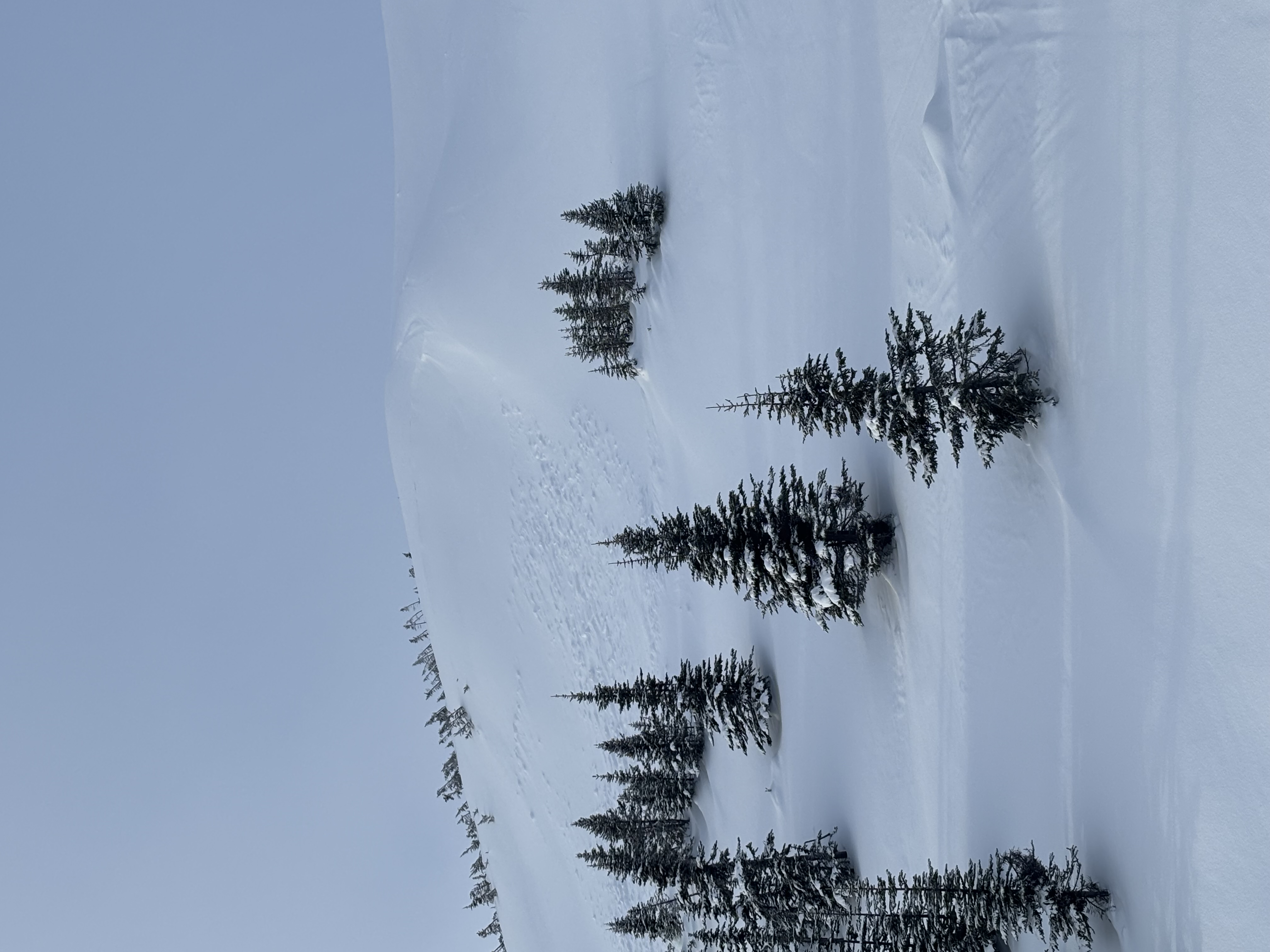Observation photo