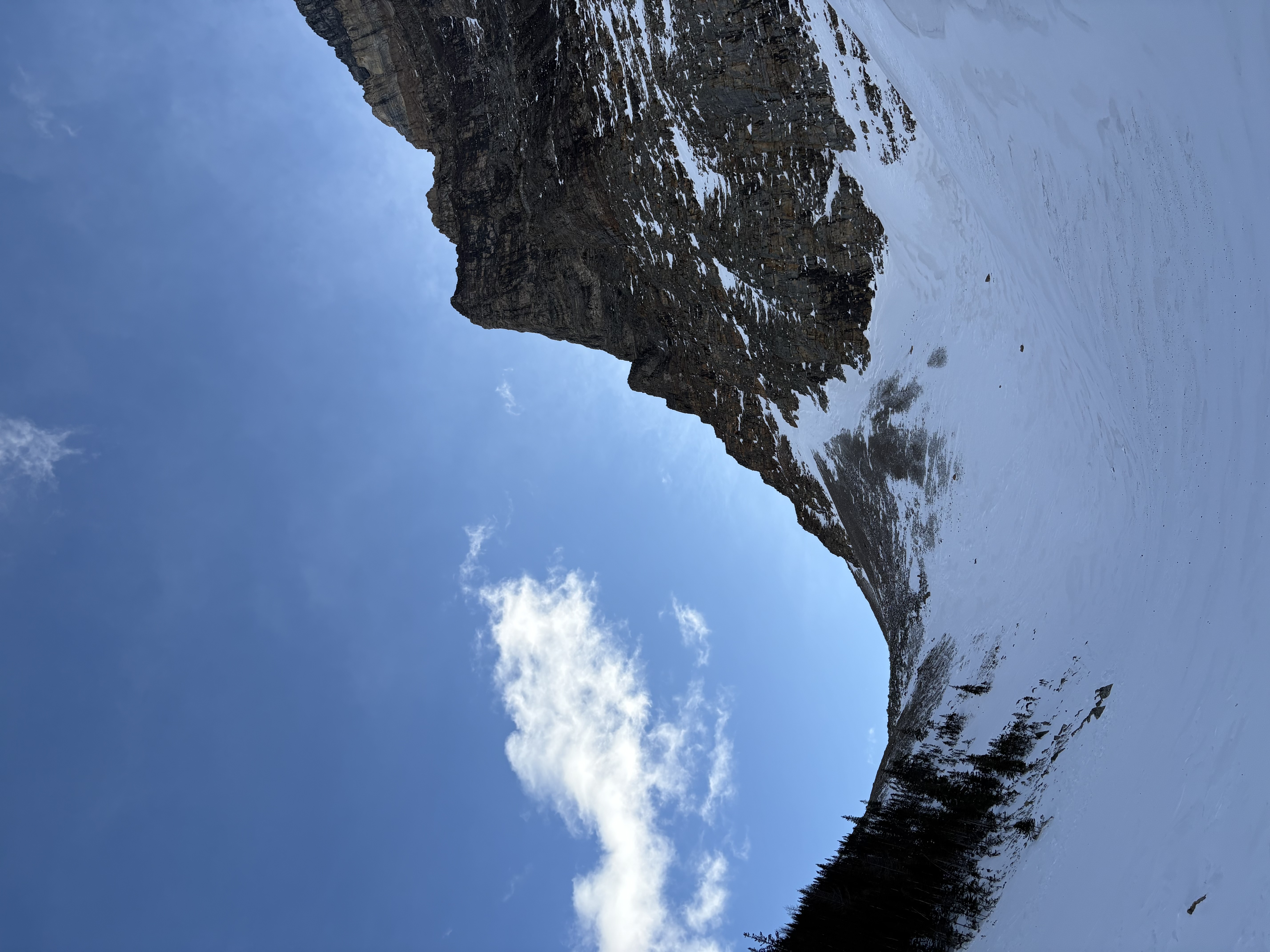 Observation photo
