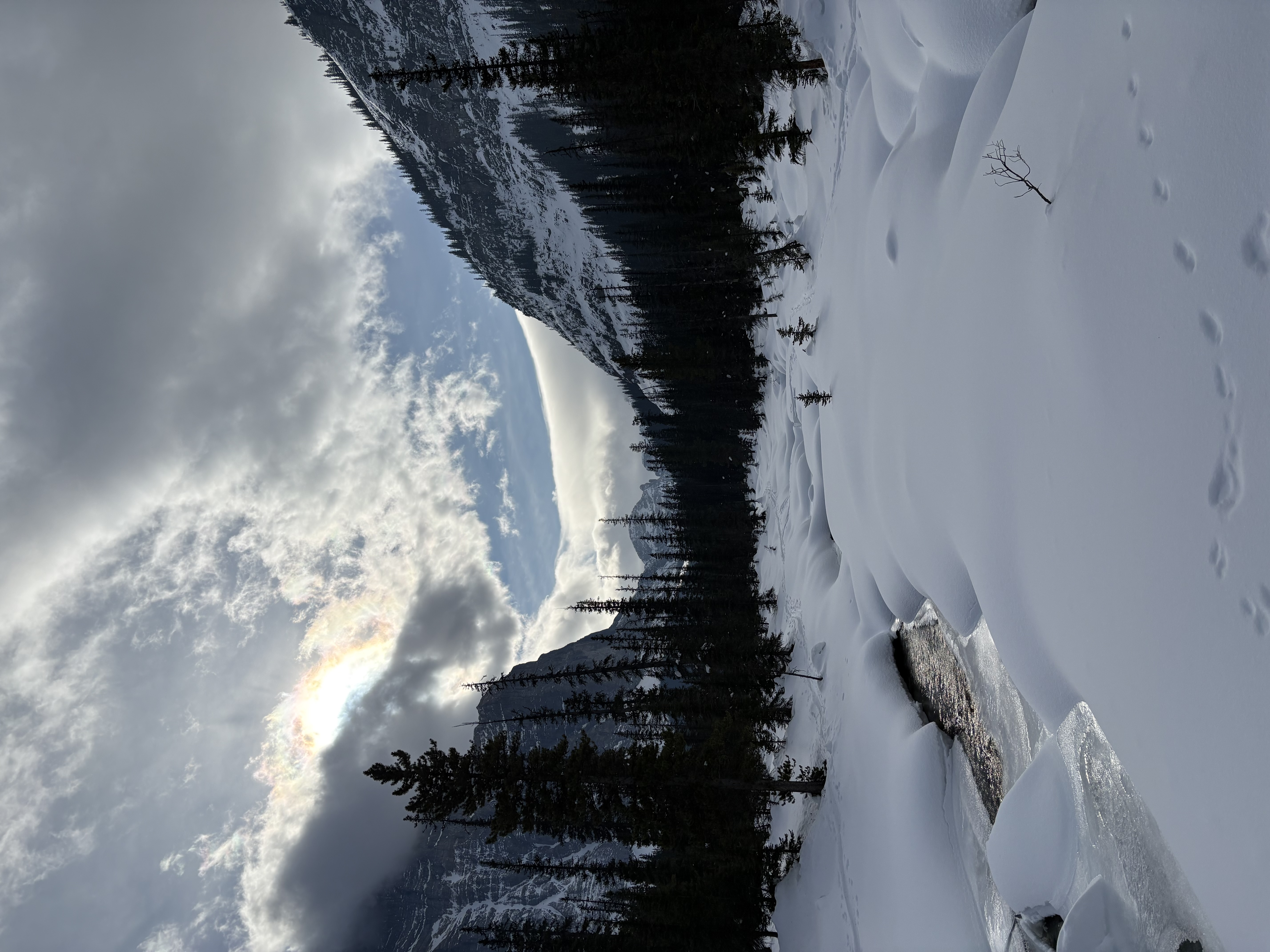 Observation photo