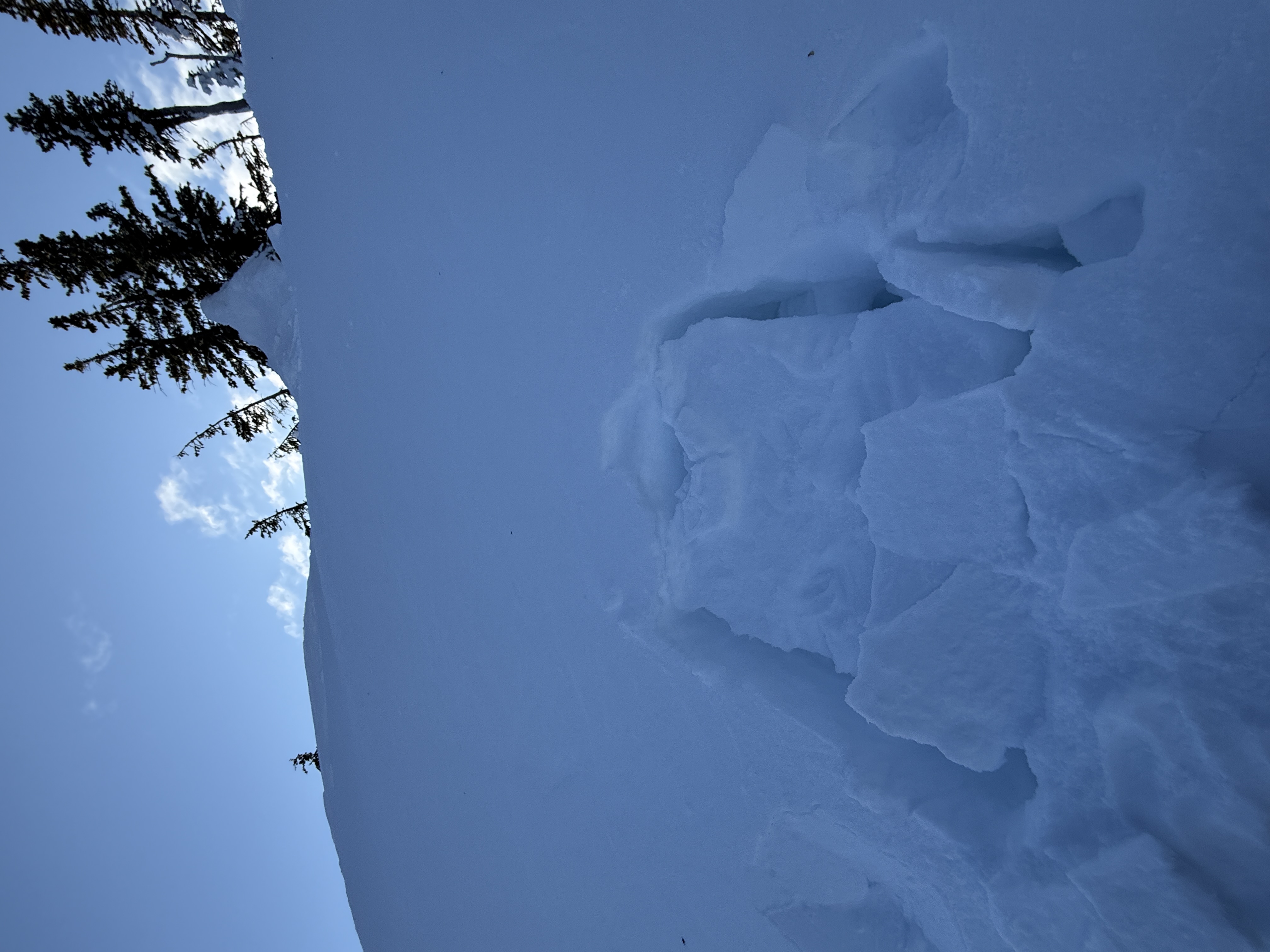 Observation photo