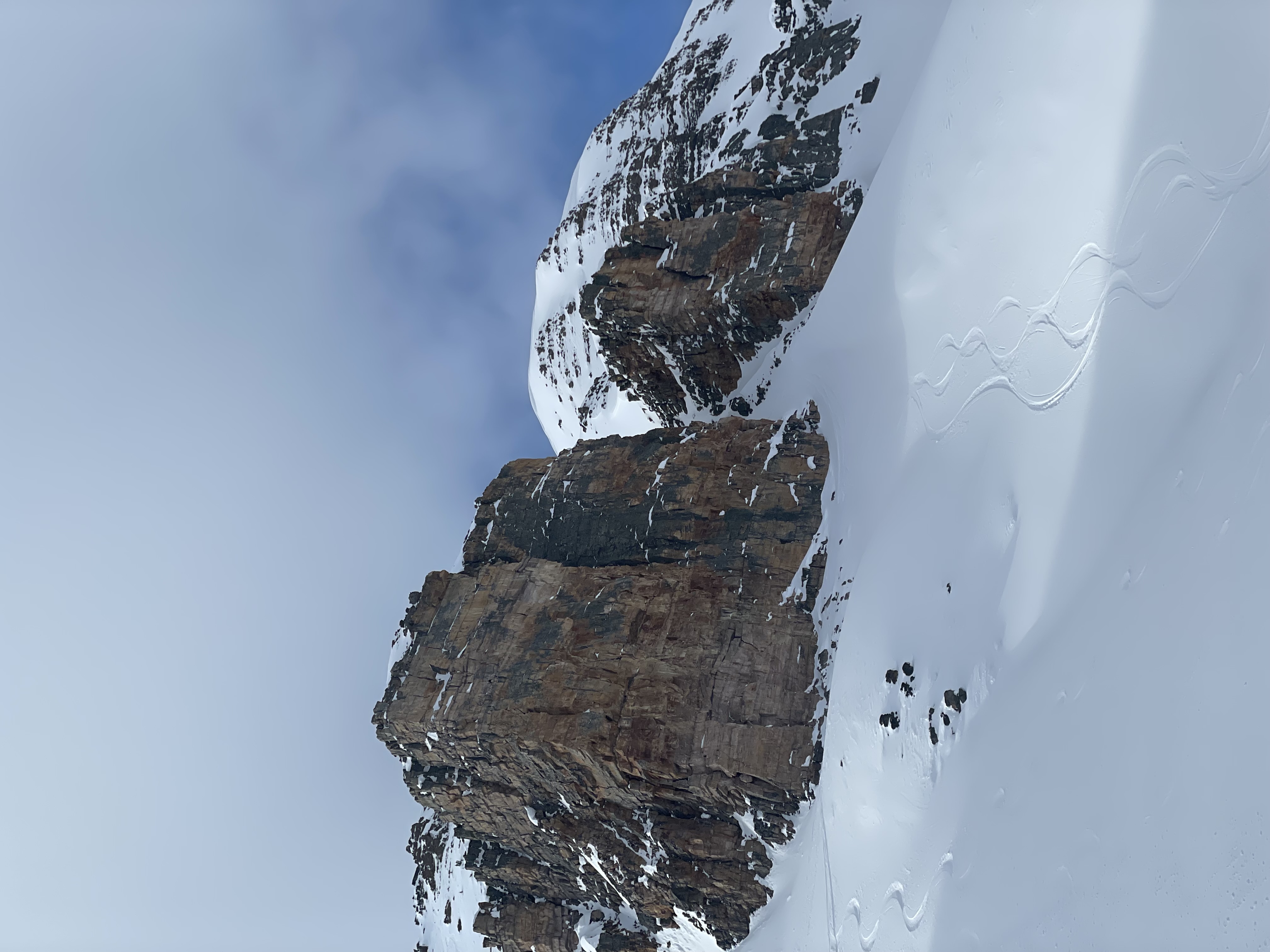 Observation photo