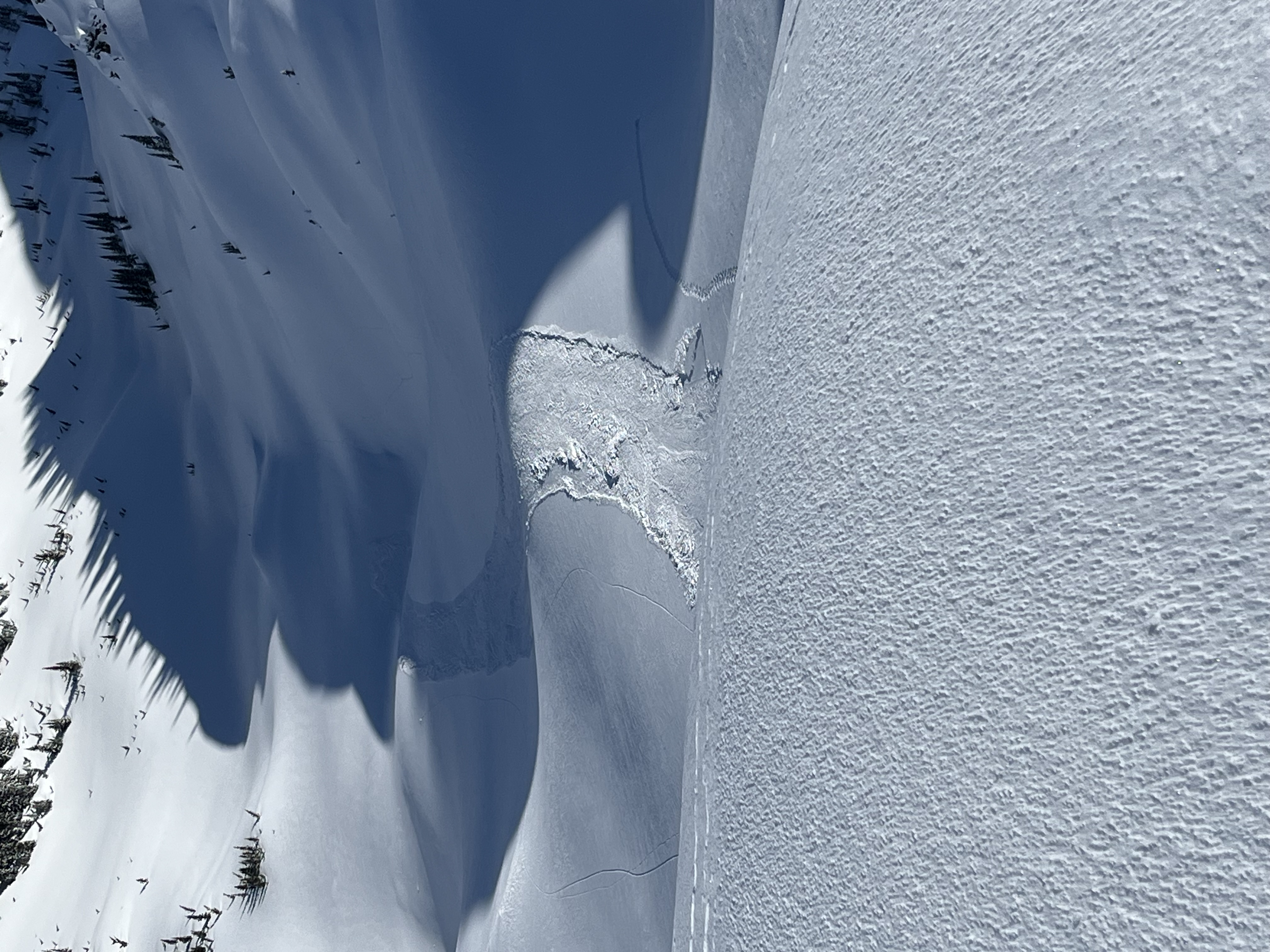 Observation photo
